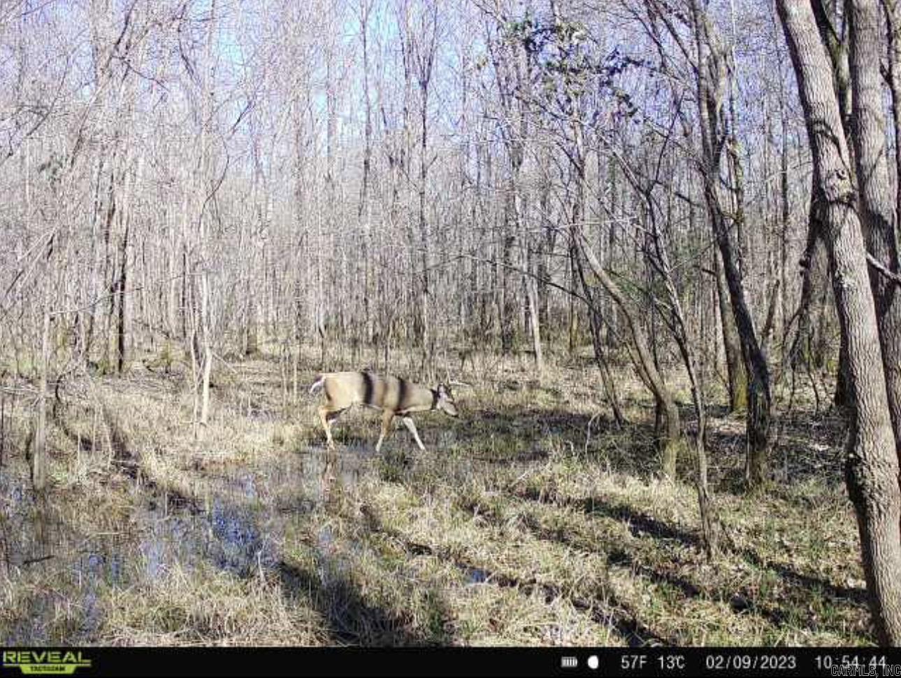 Tbd Janesville Rd. Property Photo 6