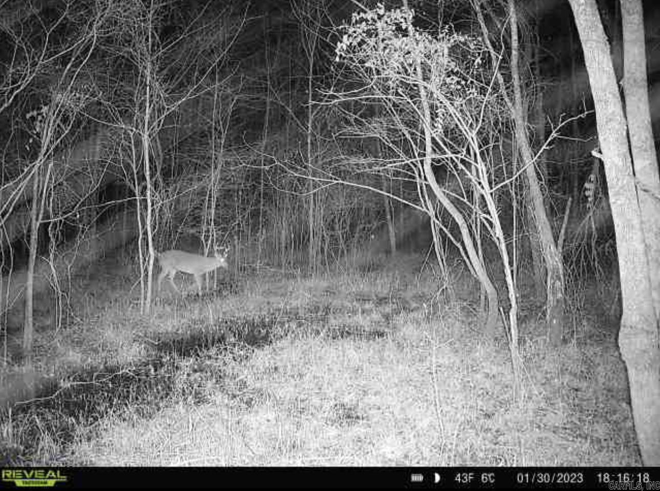 Tbd Janesville Rd. Property Photo 7