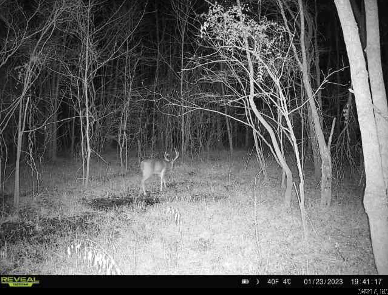Tbd Janesville Rd. Property Photo 8