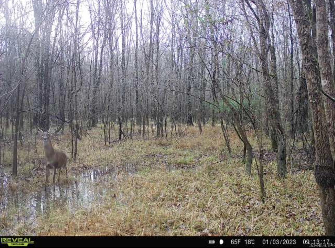 Tbd Janesville Rd. Property Photo 9