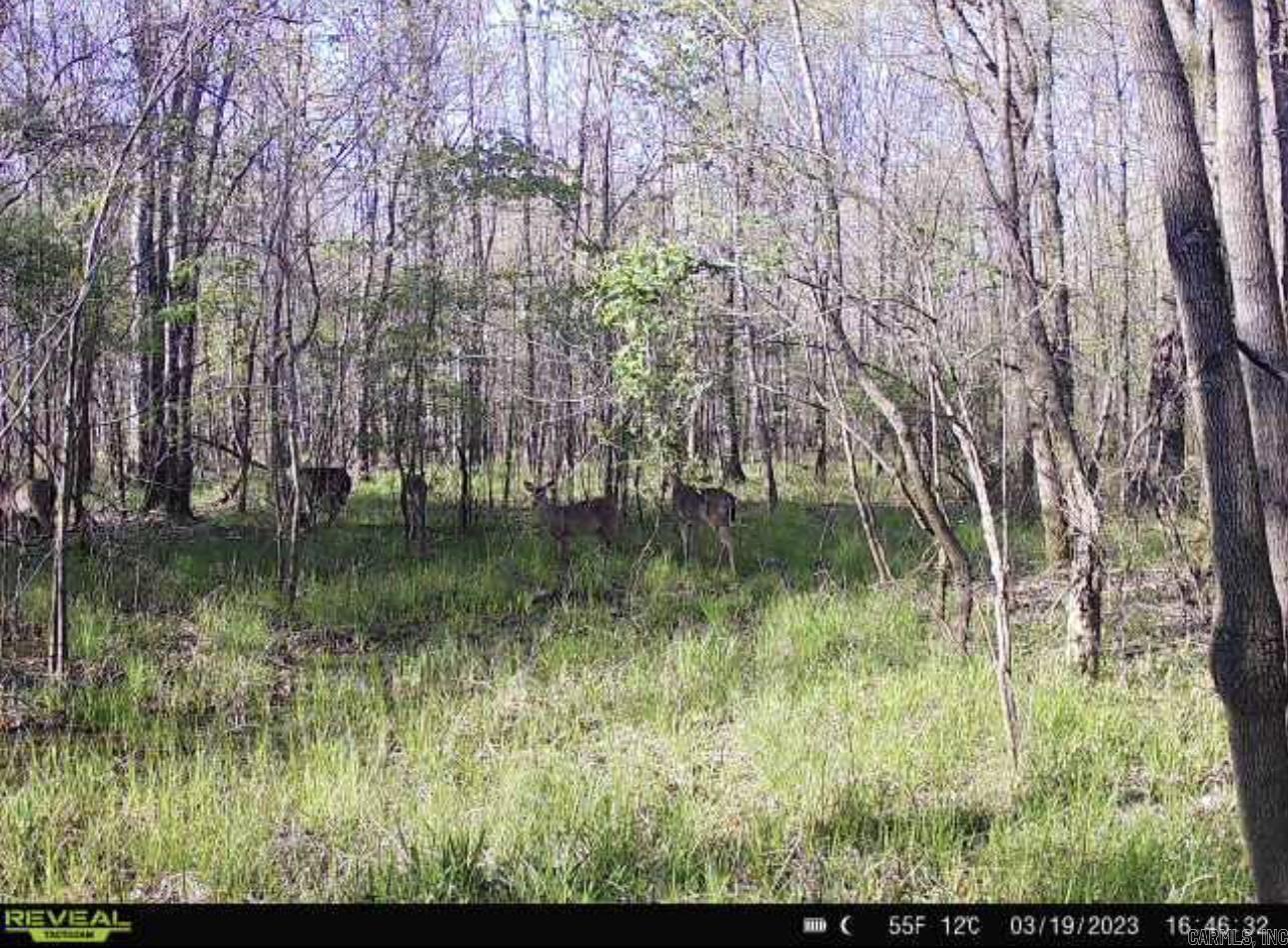 Tbd Janesville Rd. Property Photo 10