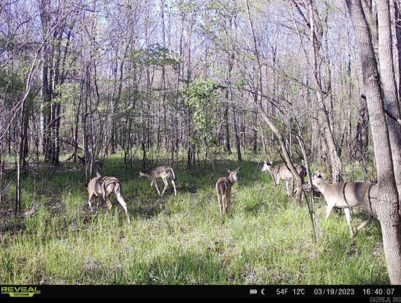 Tbd Janesville Rd. Property Photo 11