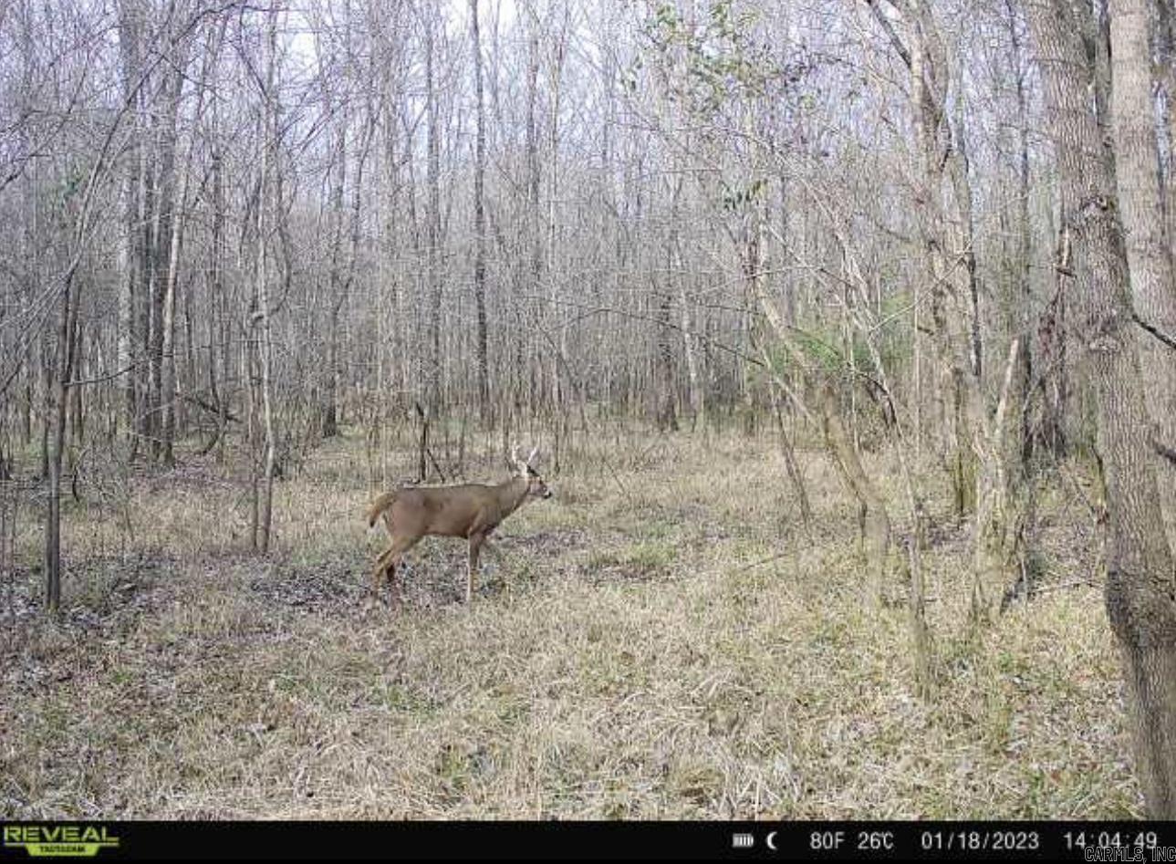 Tbd Janesville Rd. Property Photo 13