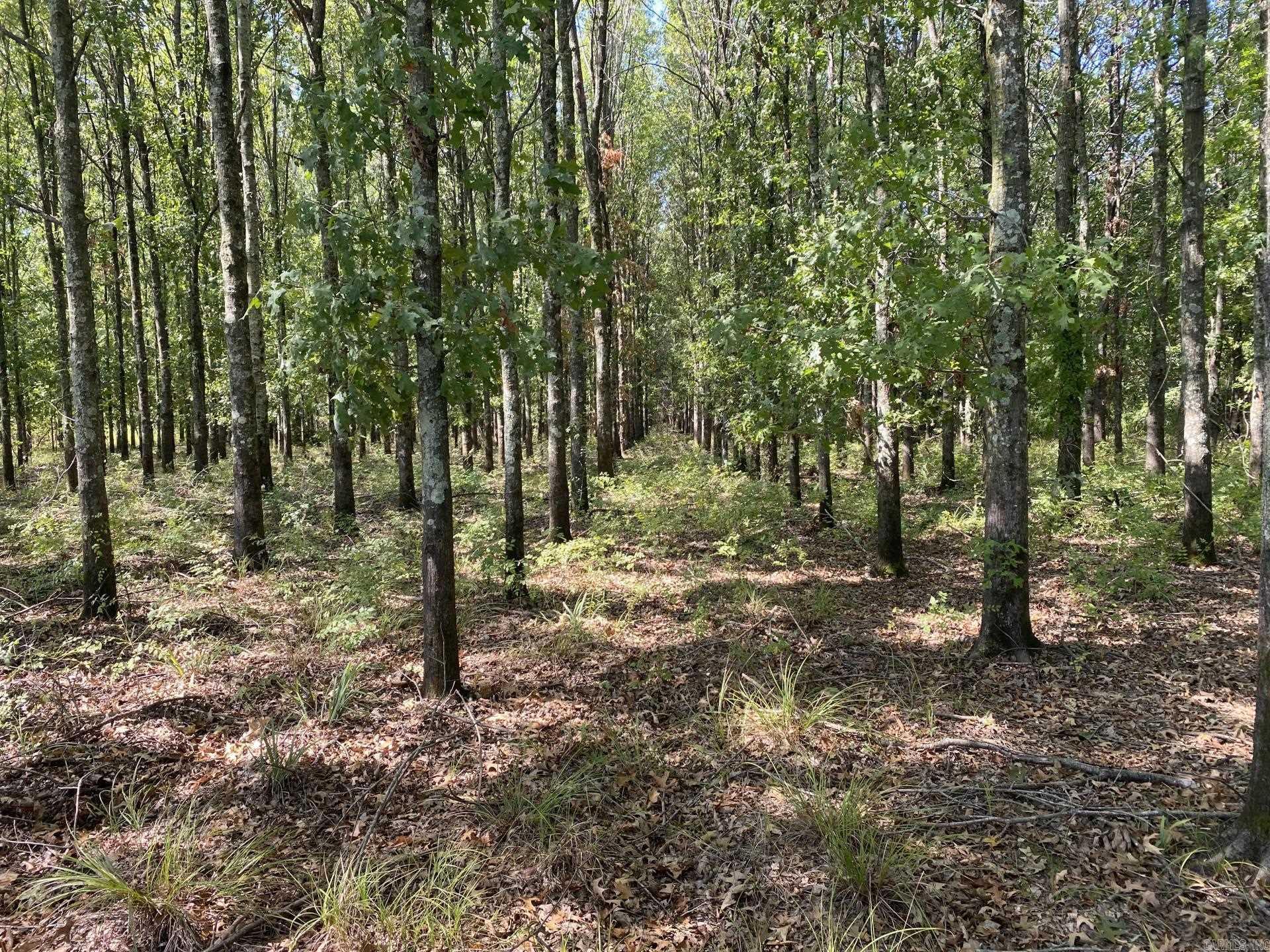 Tbd Janesville Rd. Property Photo 18