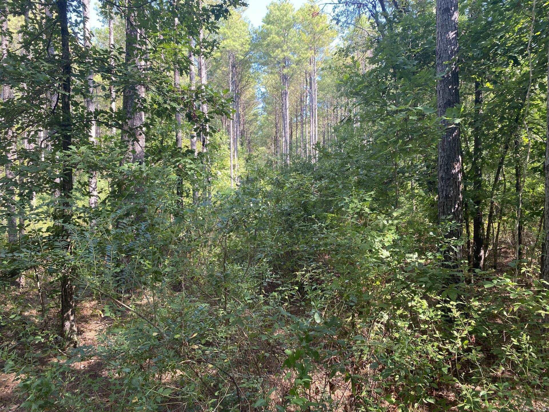 Tbd Janesville Rd. Property Photo 19