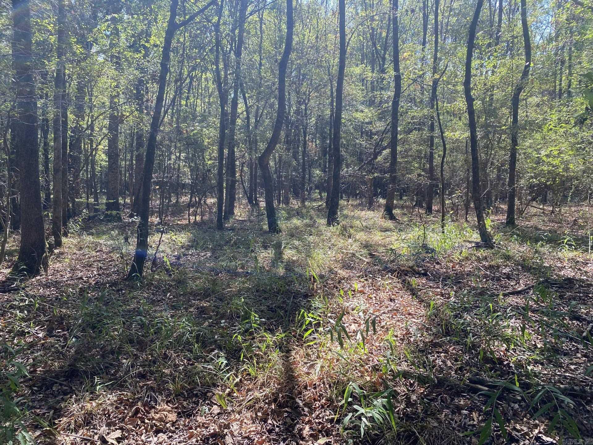 Tbd Janesville Rd. Property Photo 34