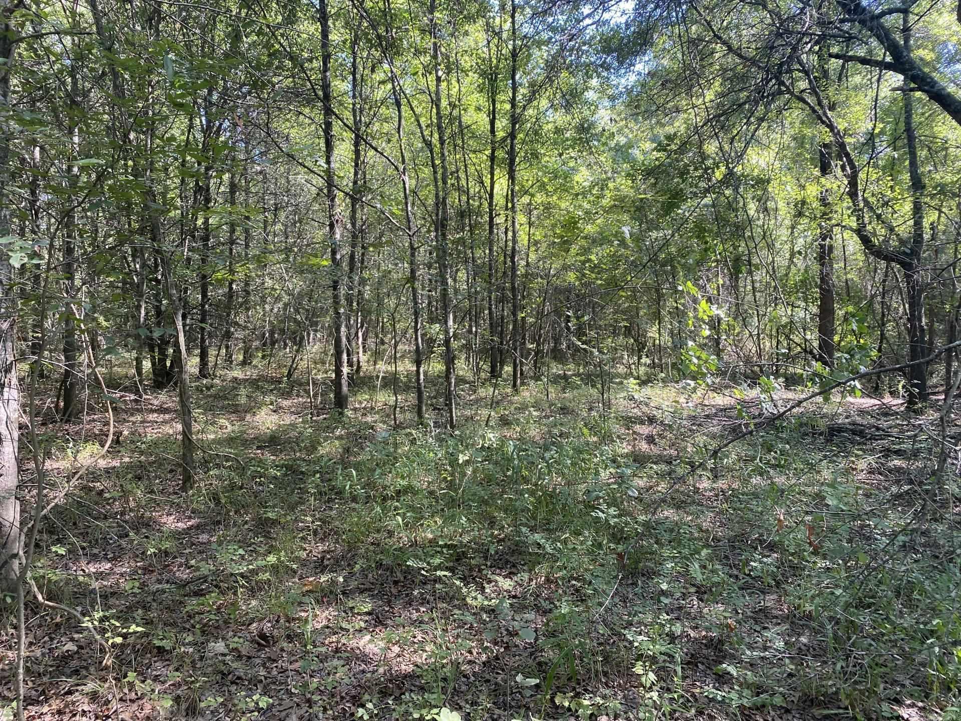 Tbd Janesville Rd. Property Photo 41
