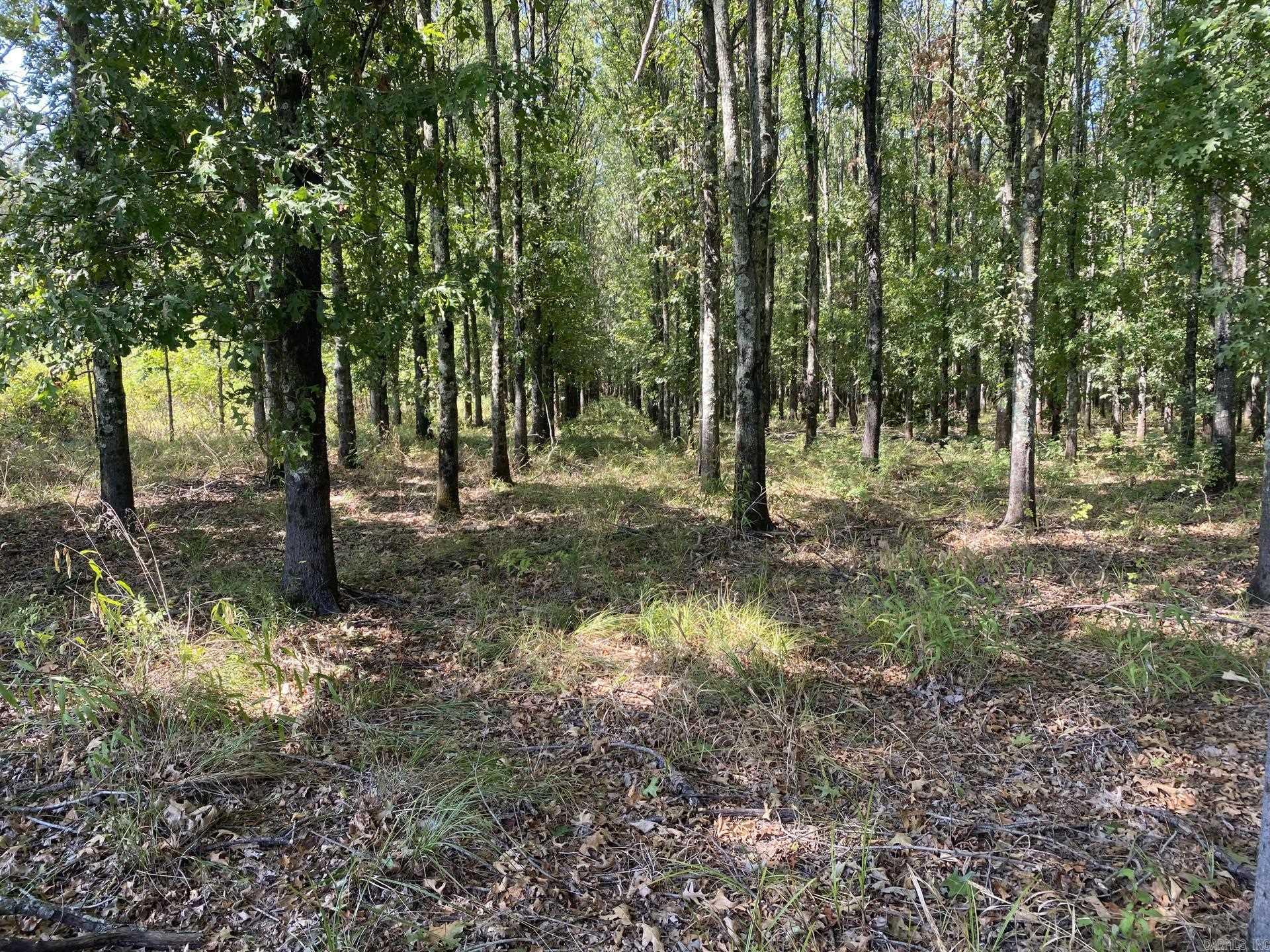 Tbd Janesville Rd. Property Photo 42