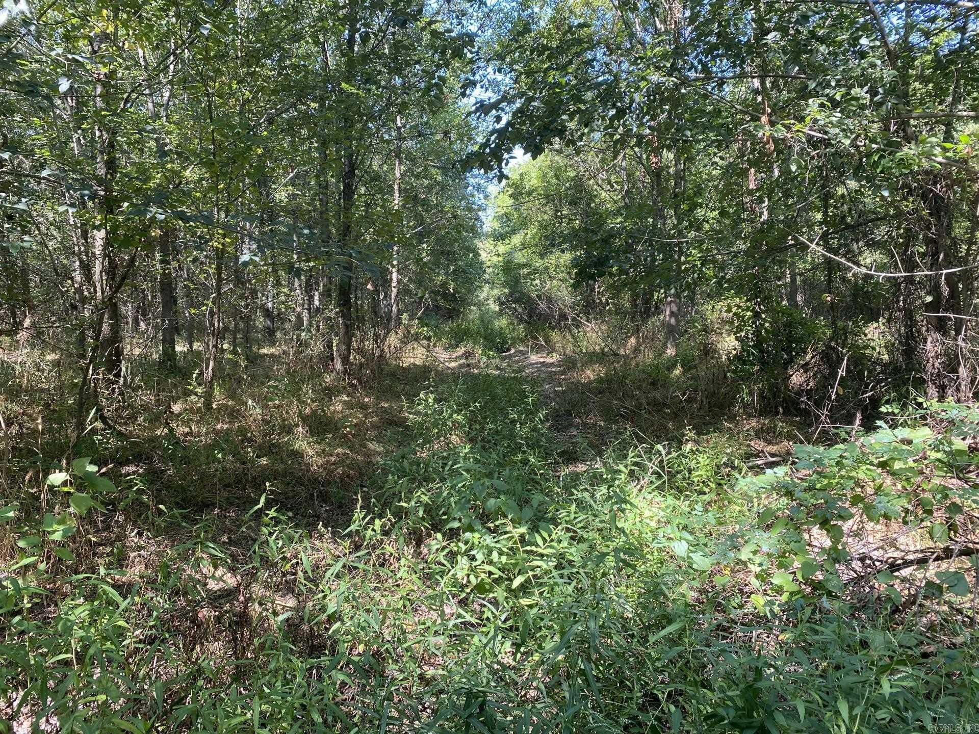 Tbd Janesville Rd. Property Photo 46