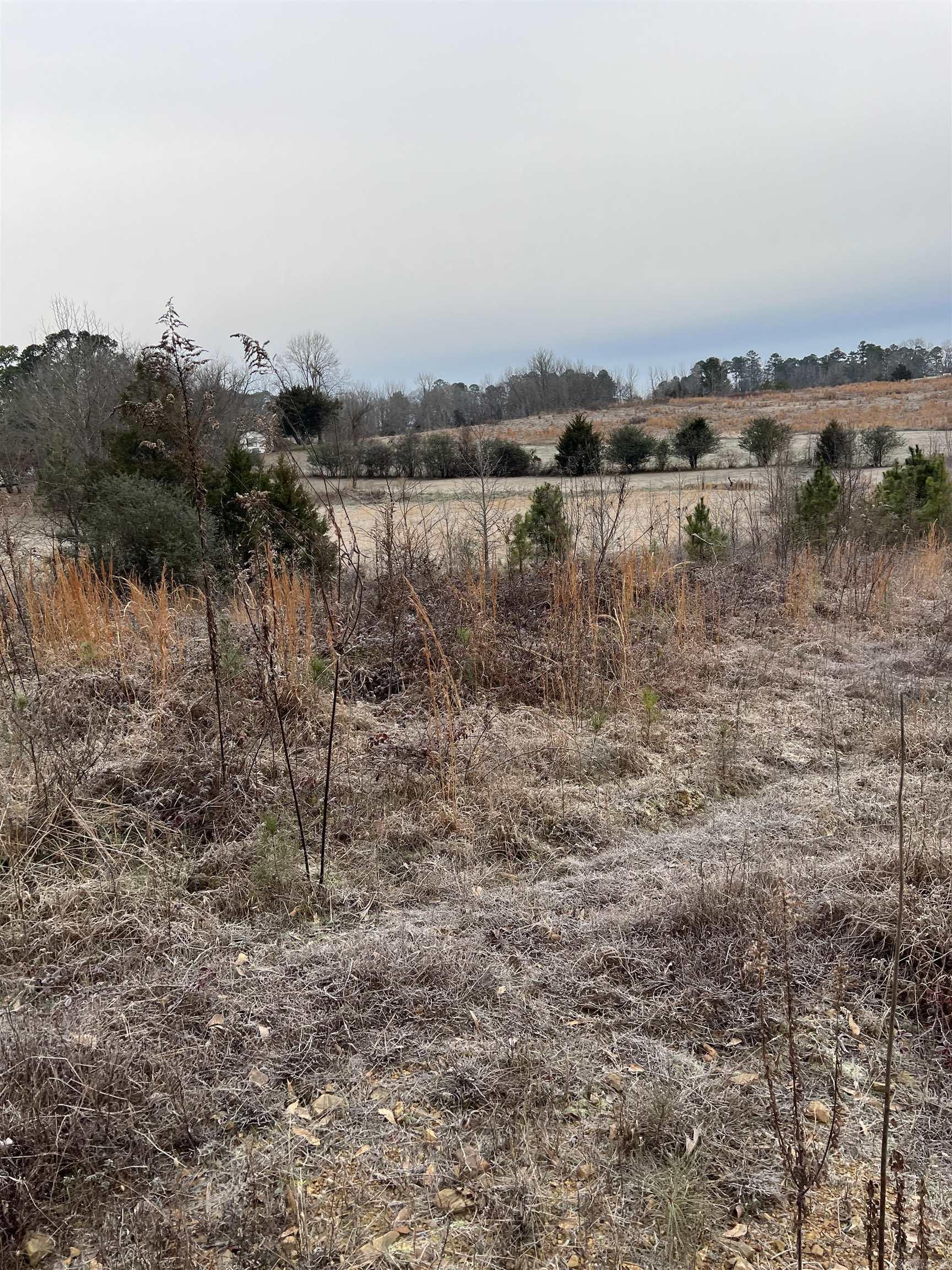 Xx Thompson Property Photo 1