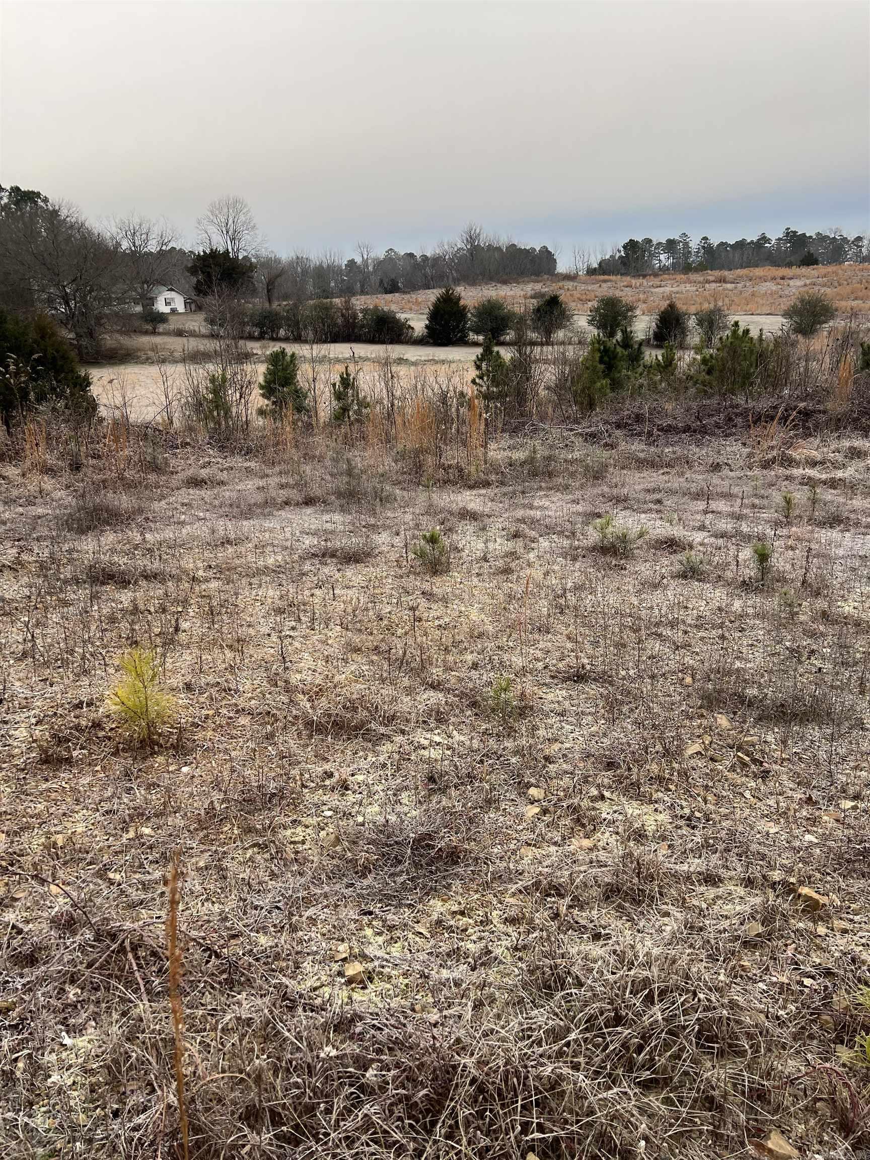 Xx Thompson Property Photo 2