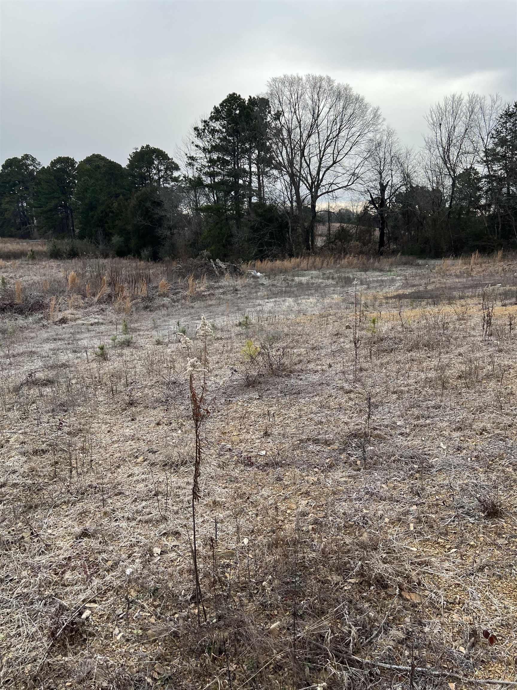 Xx Thompson Property Photo 3