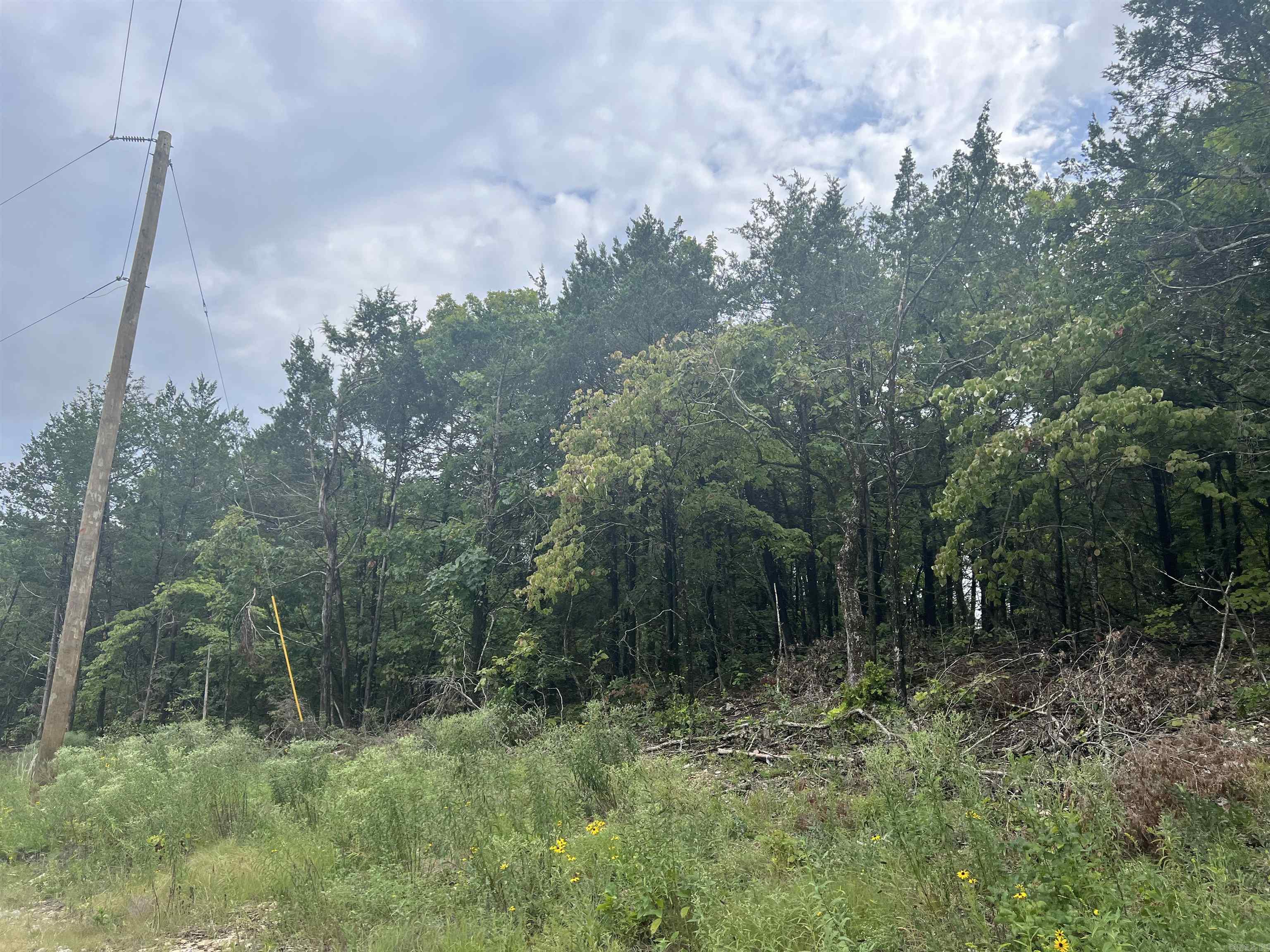 Grassy Gap Road Property Photo 2
