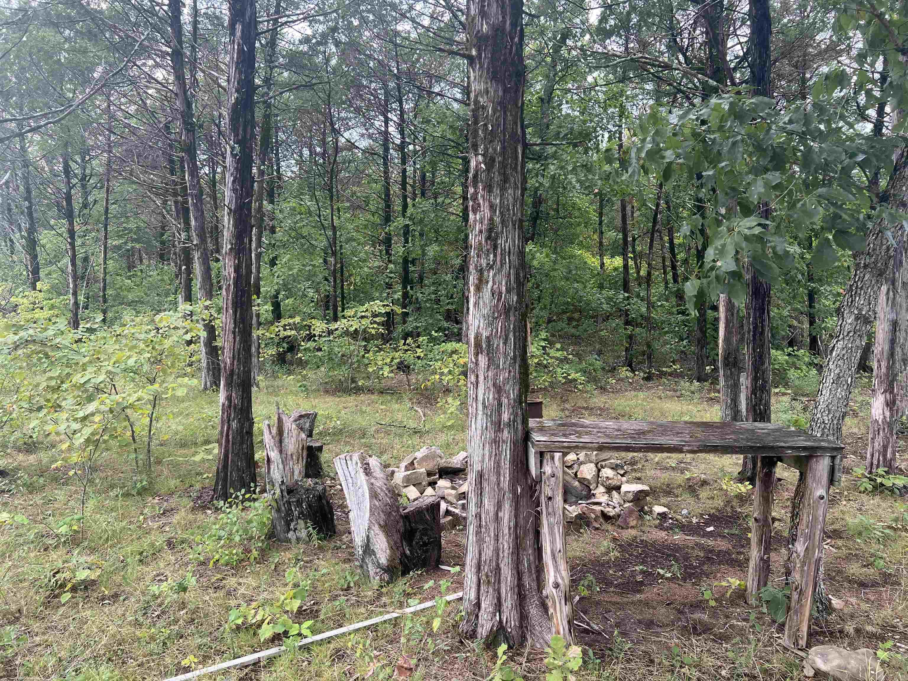 Grassy Gap Road Property Photo 3