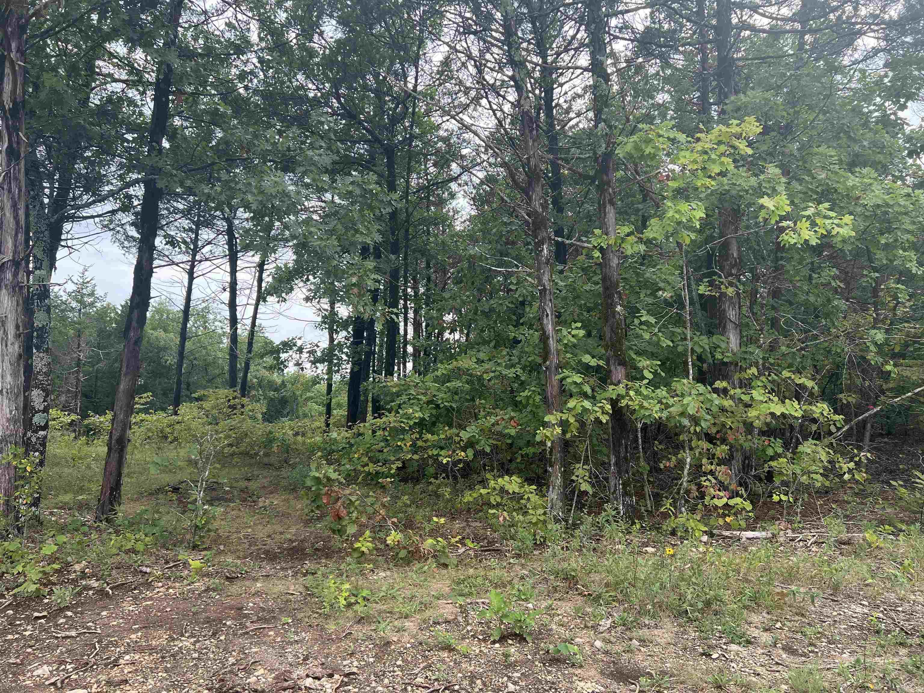 Grassy Gap Road Property Photo 4