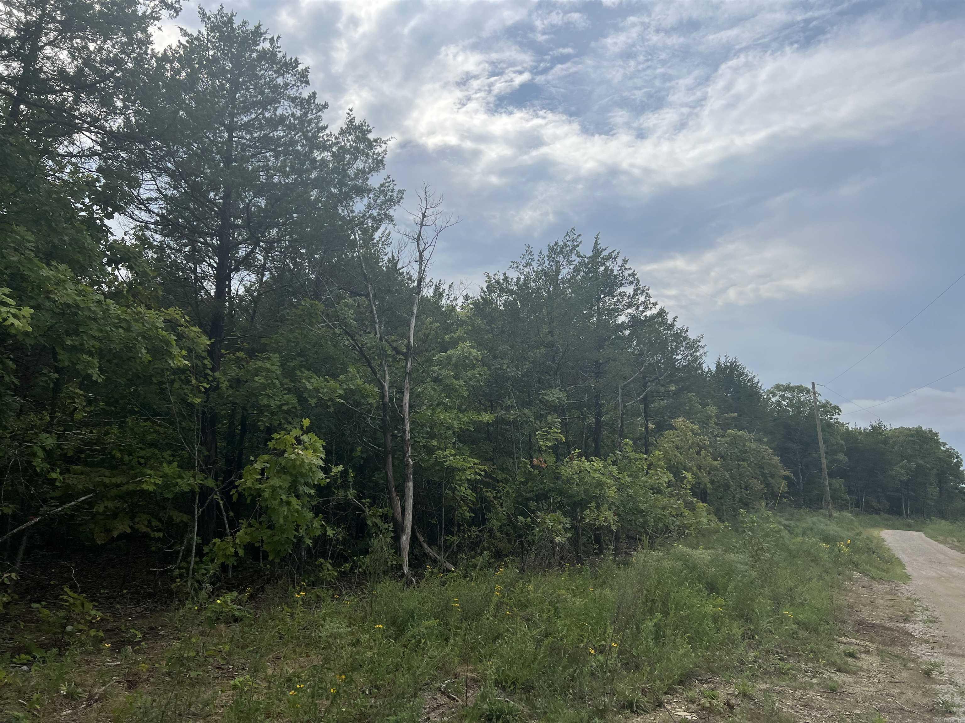 Grassy Gap Road Property Photo 5