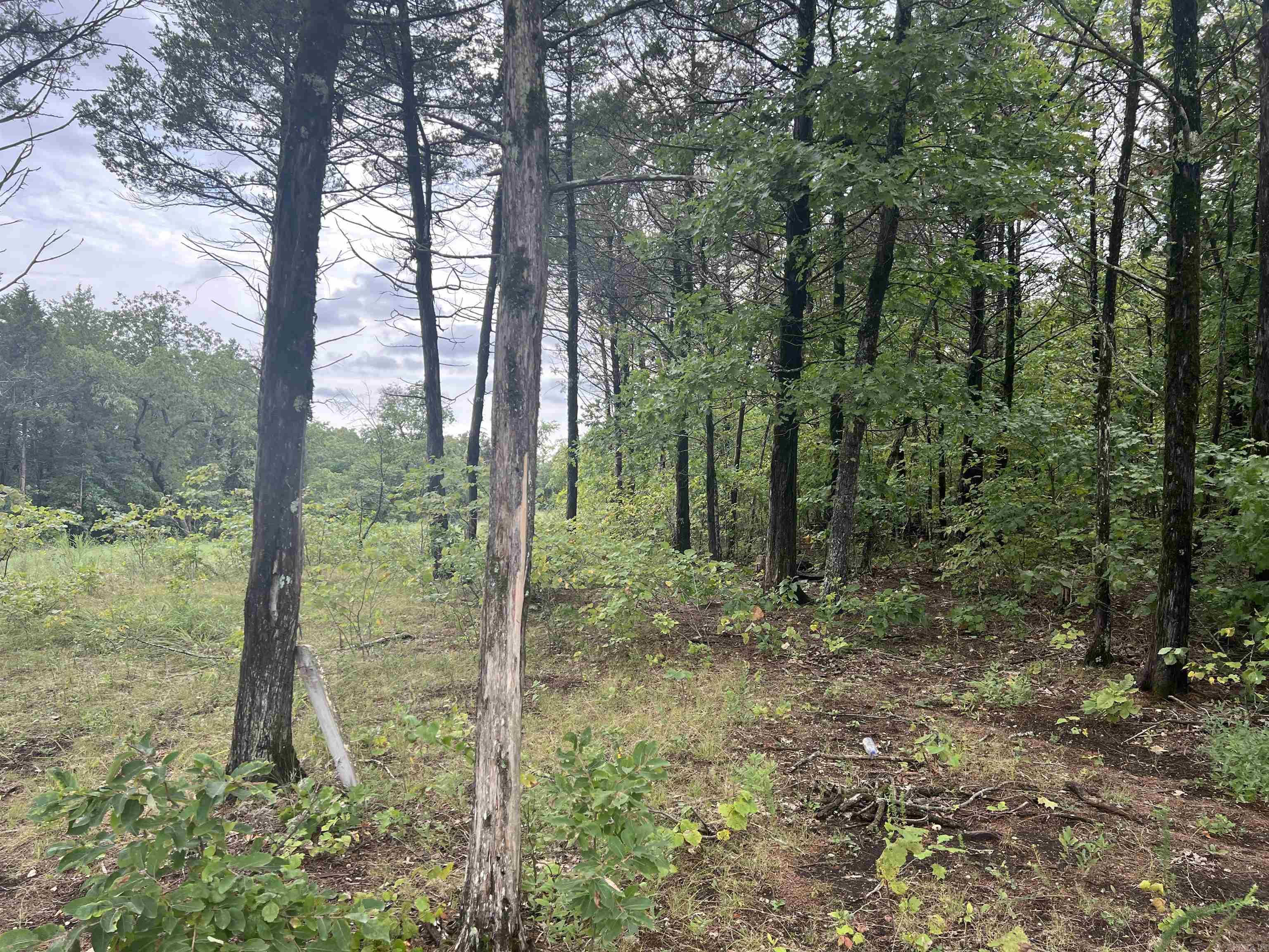 Grassy Gap Road Property Photo 9