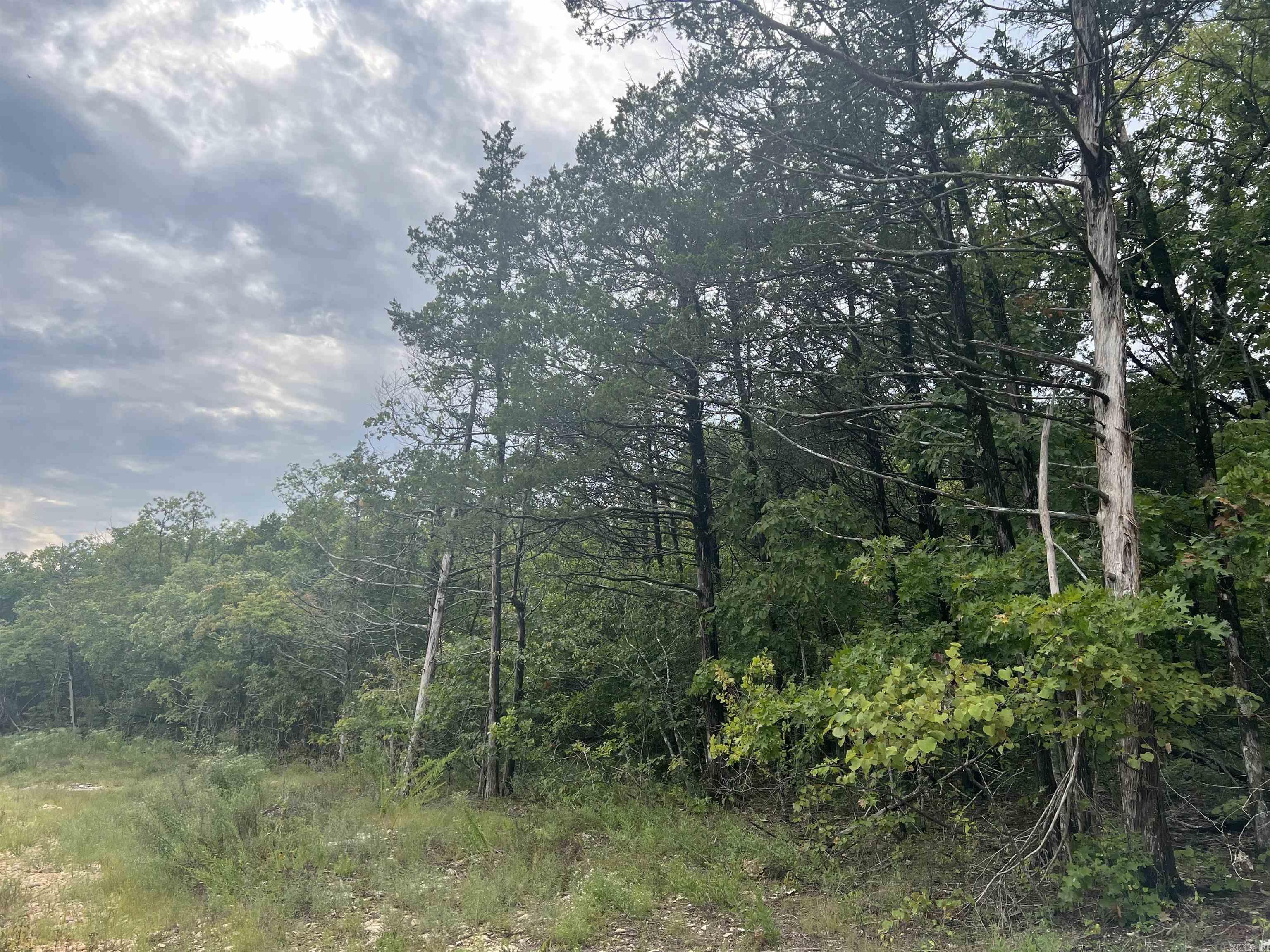 Grassy Gap Road Property Photo 11