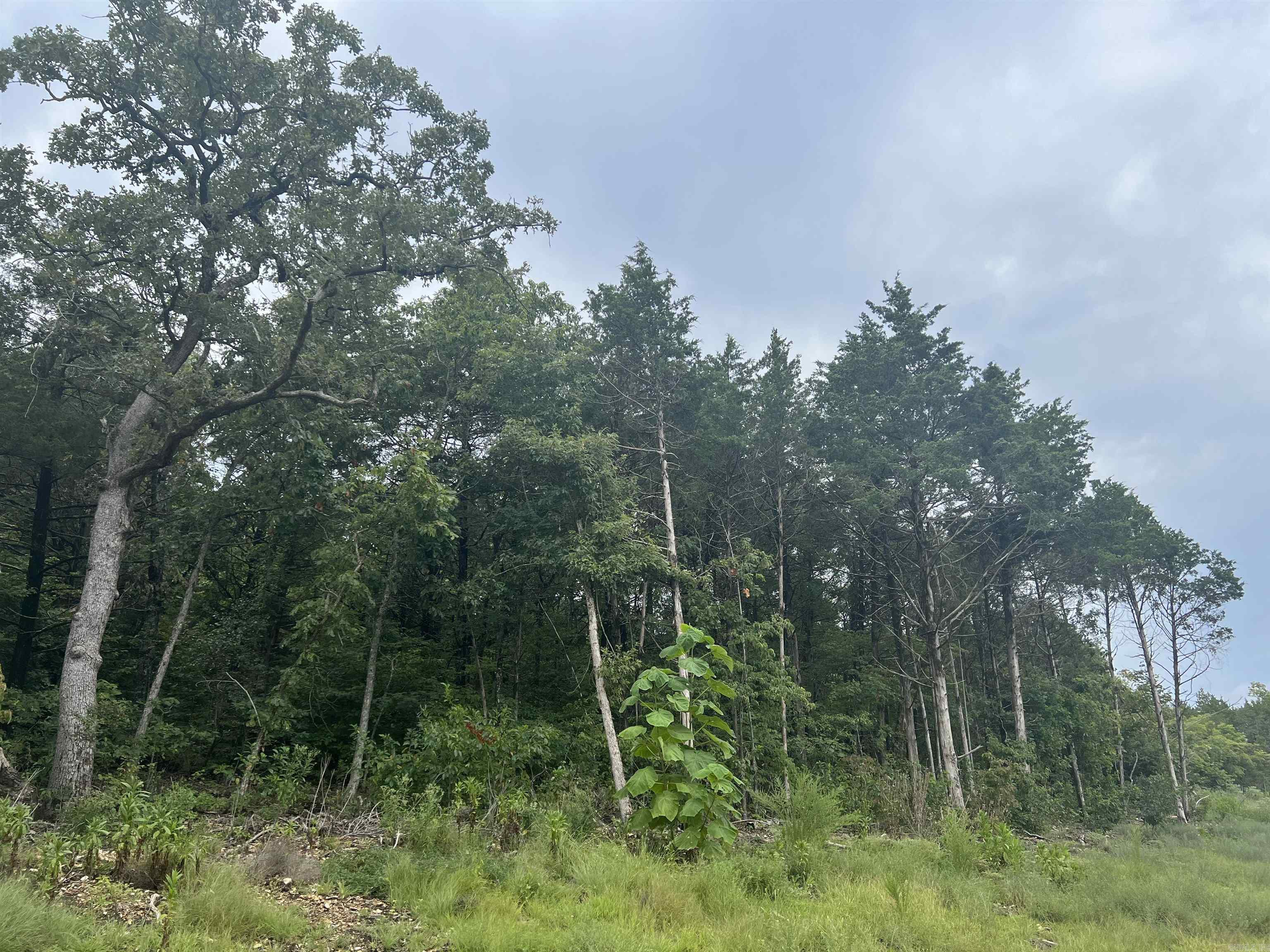 Grassy Gap Road Property Photo 12