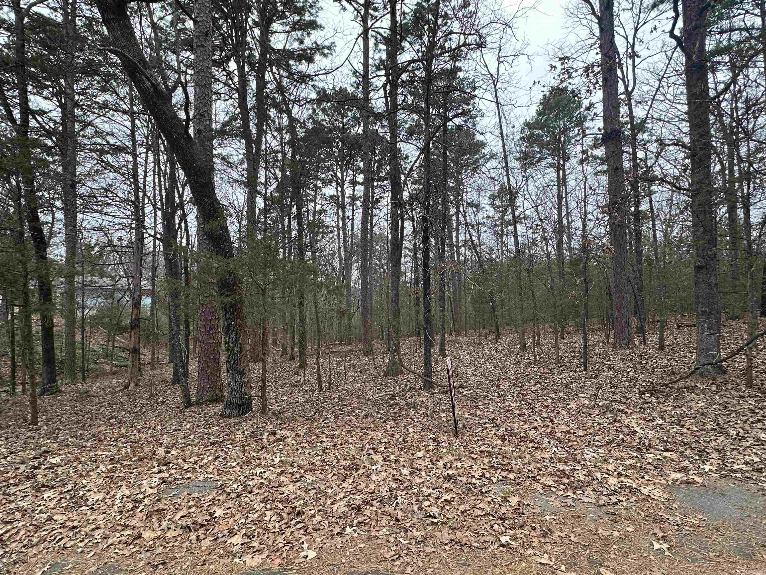 0 Baywood Drive Property Photo 3
