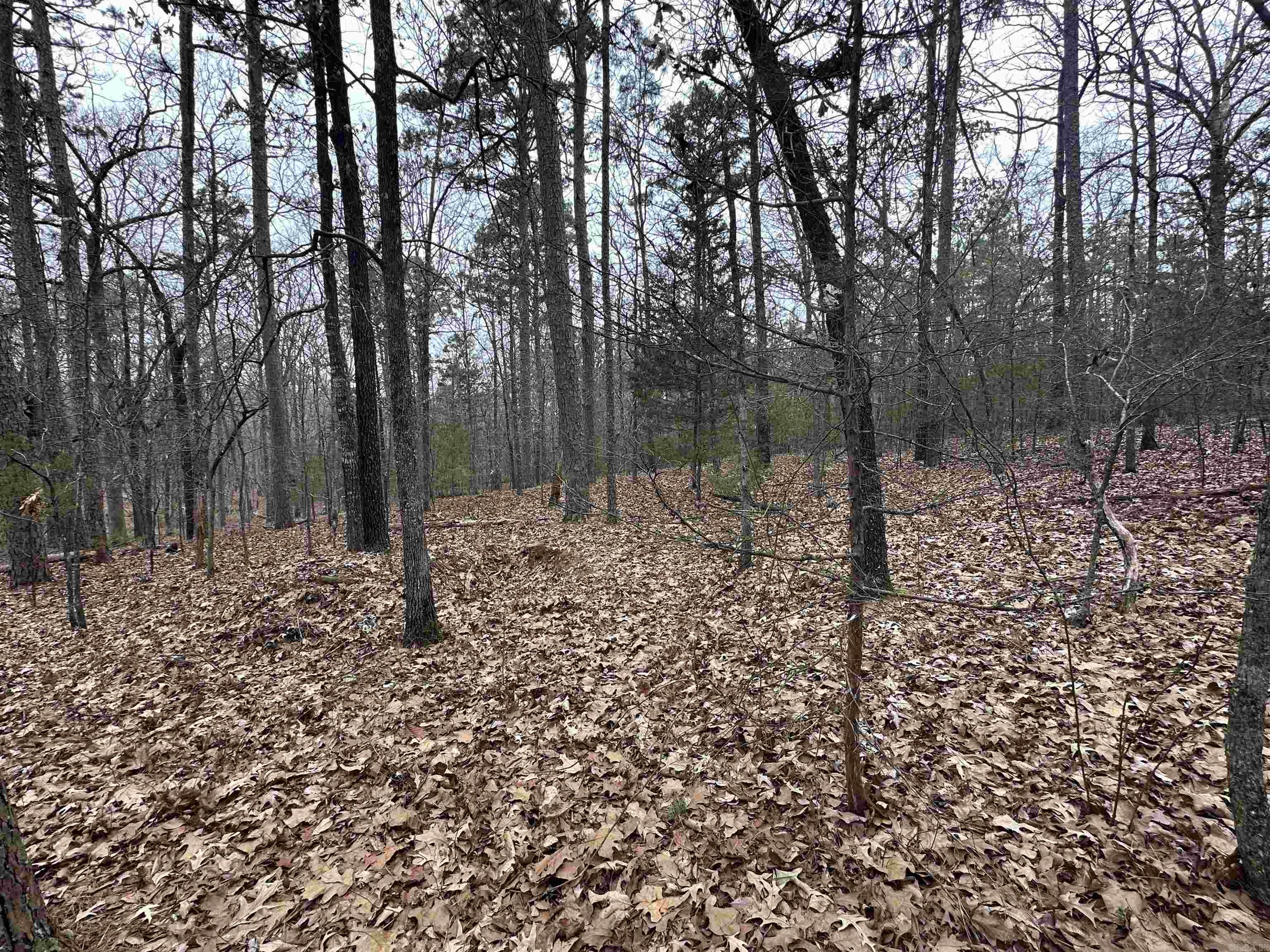 0 Baywood Drive Property Photo 4