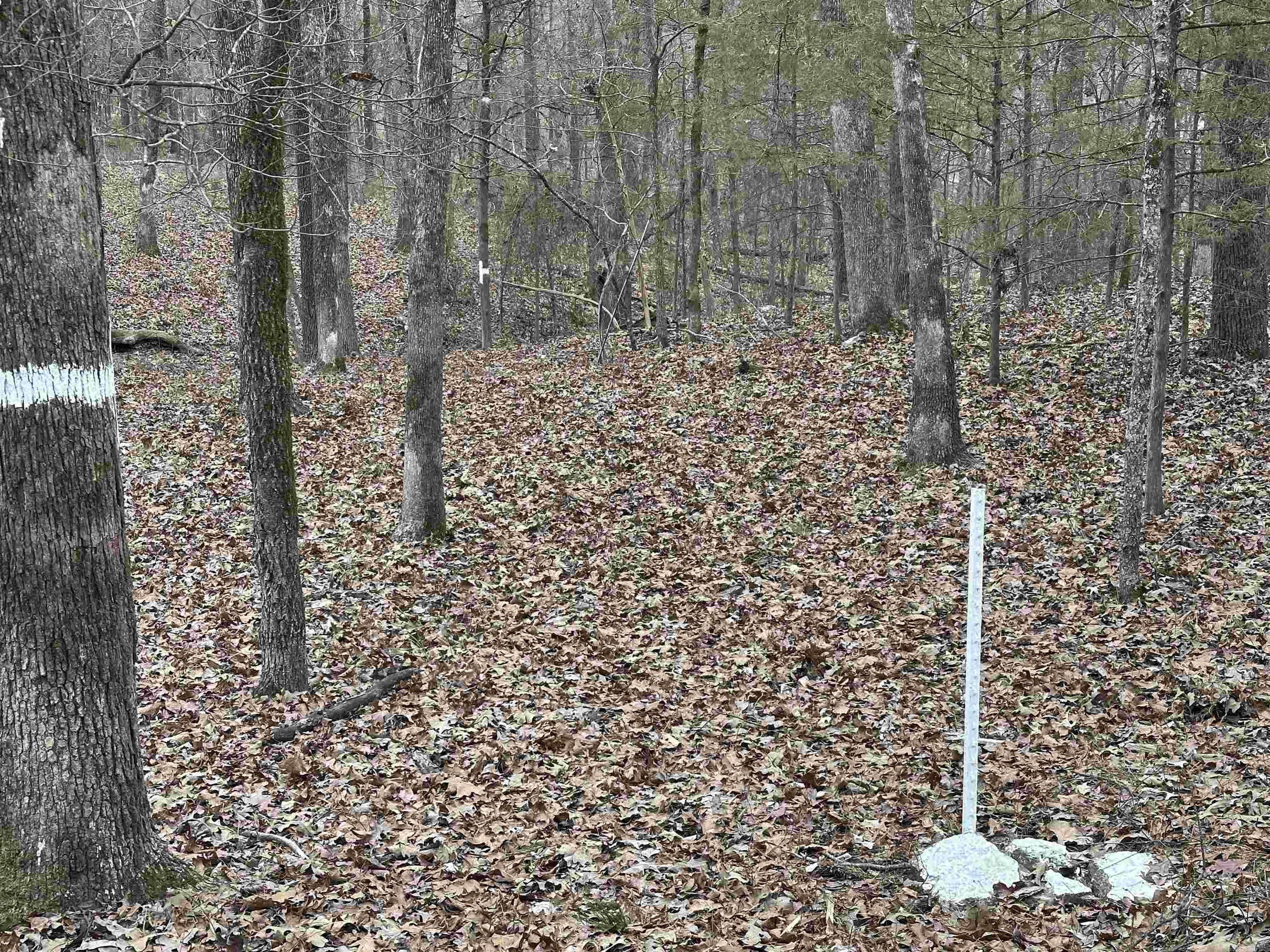 0 Baywood Drive Property Photo 5