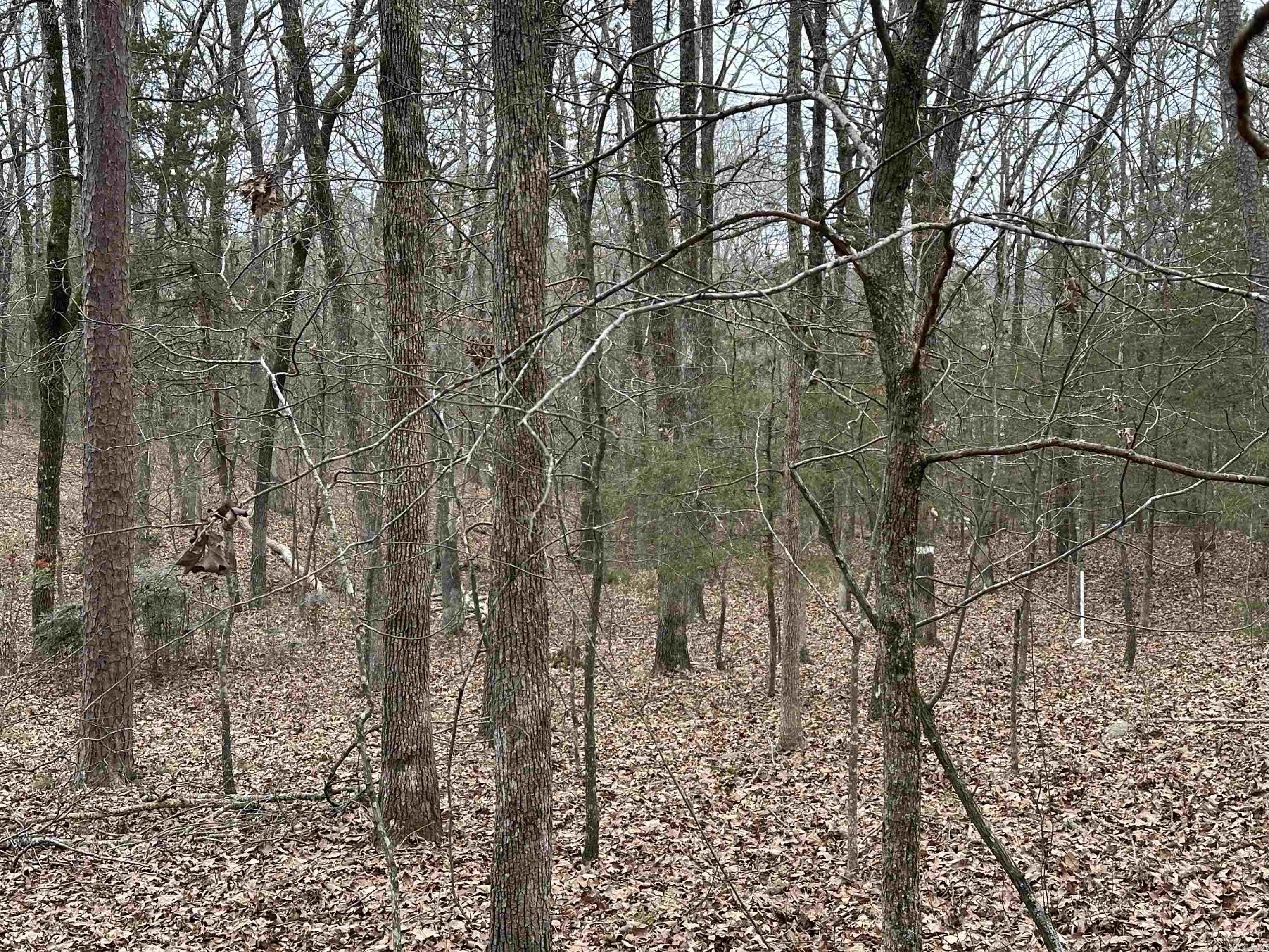 0 Baywood Drive Property Photo 6