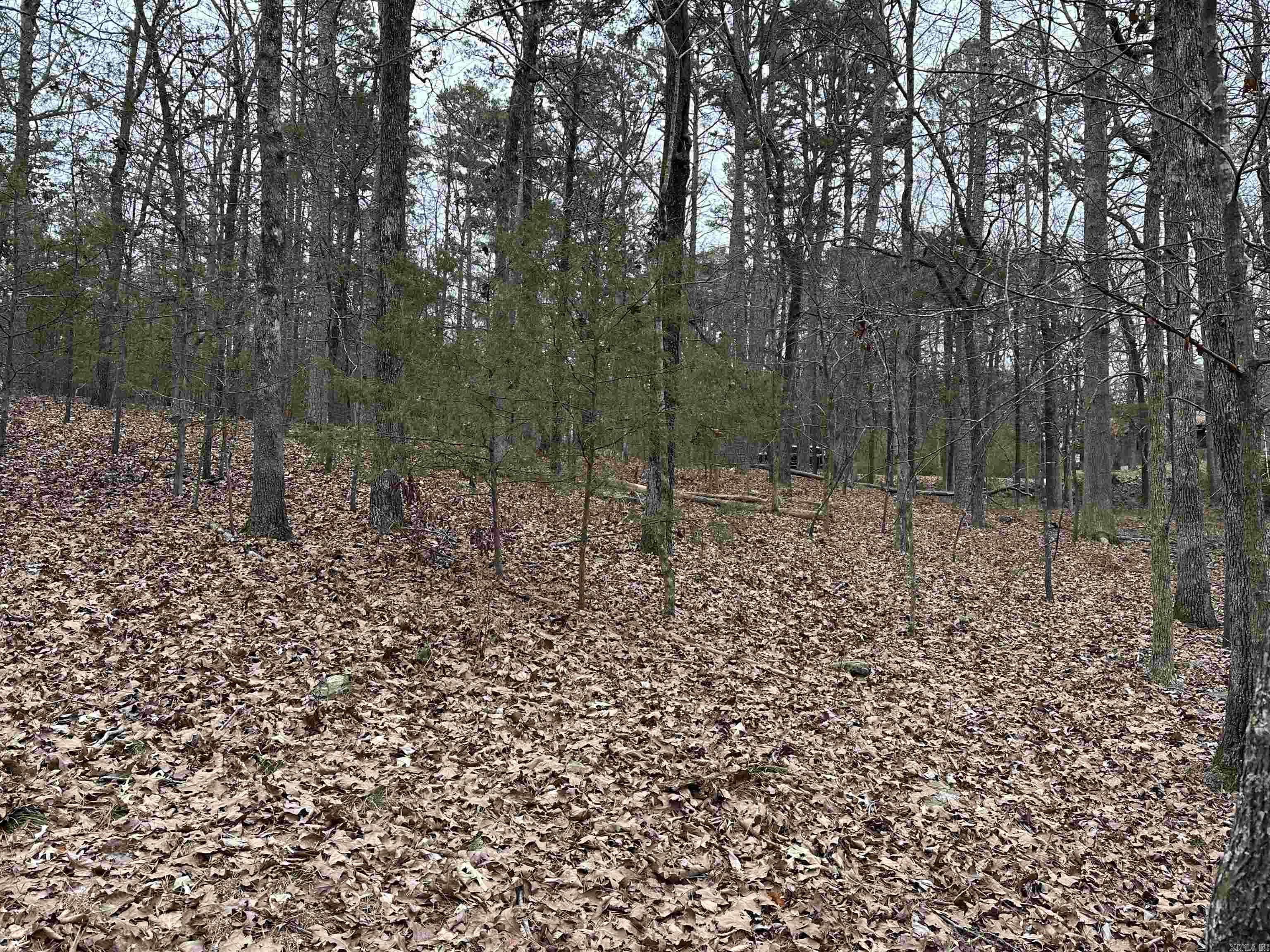 0 Baywood Drive Property Photo 8
