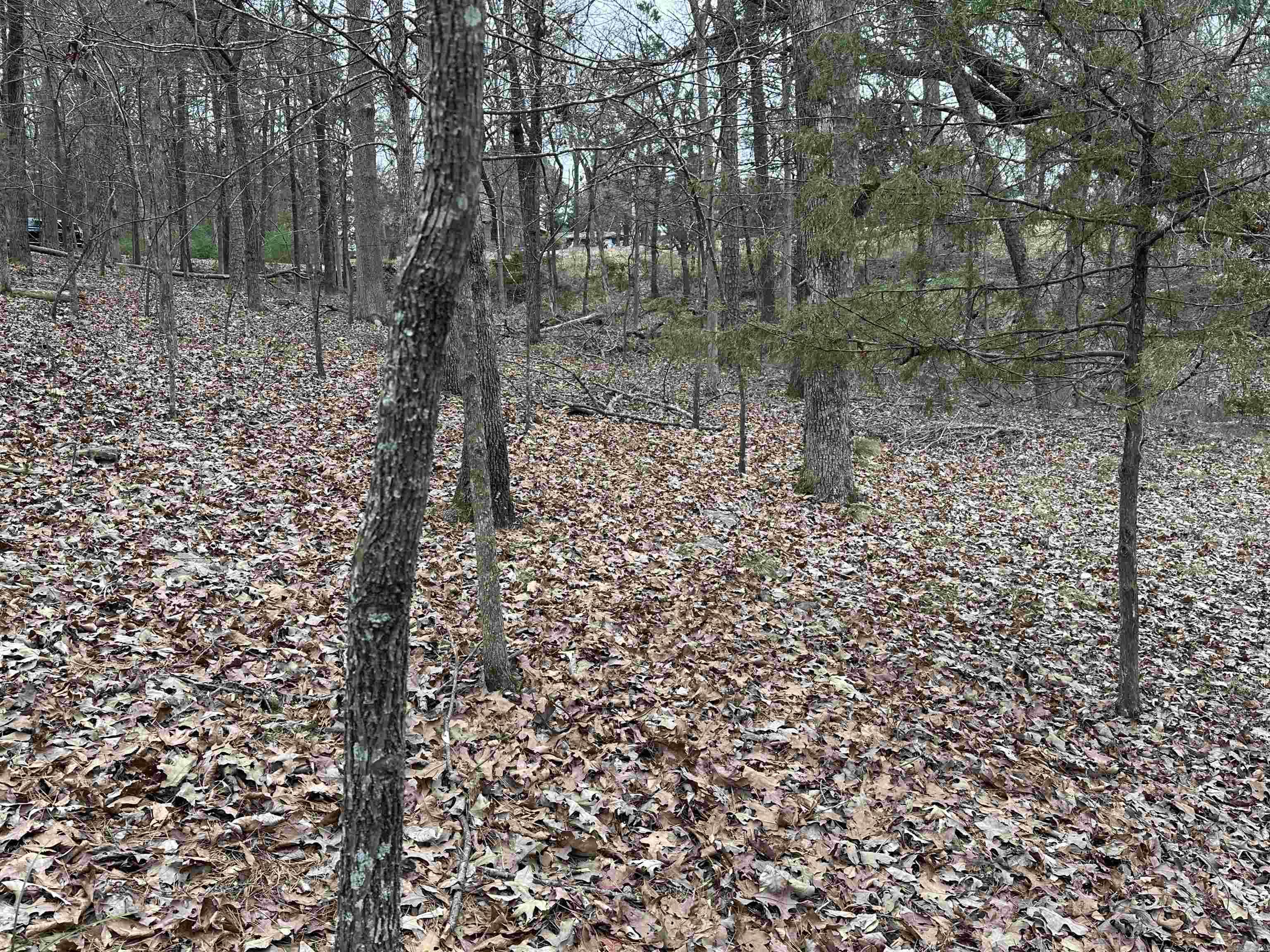 0 Baywood Drive Property Photo 9