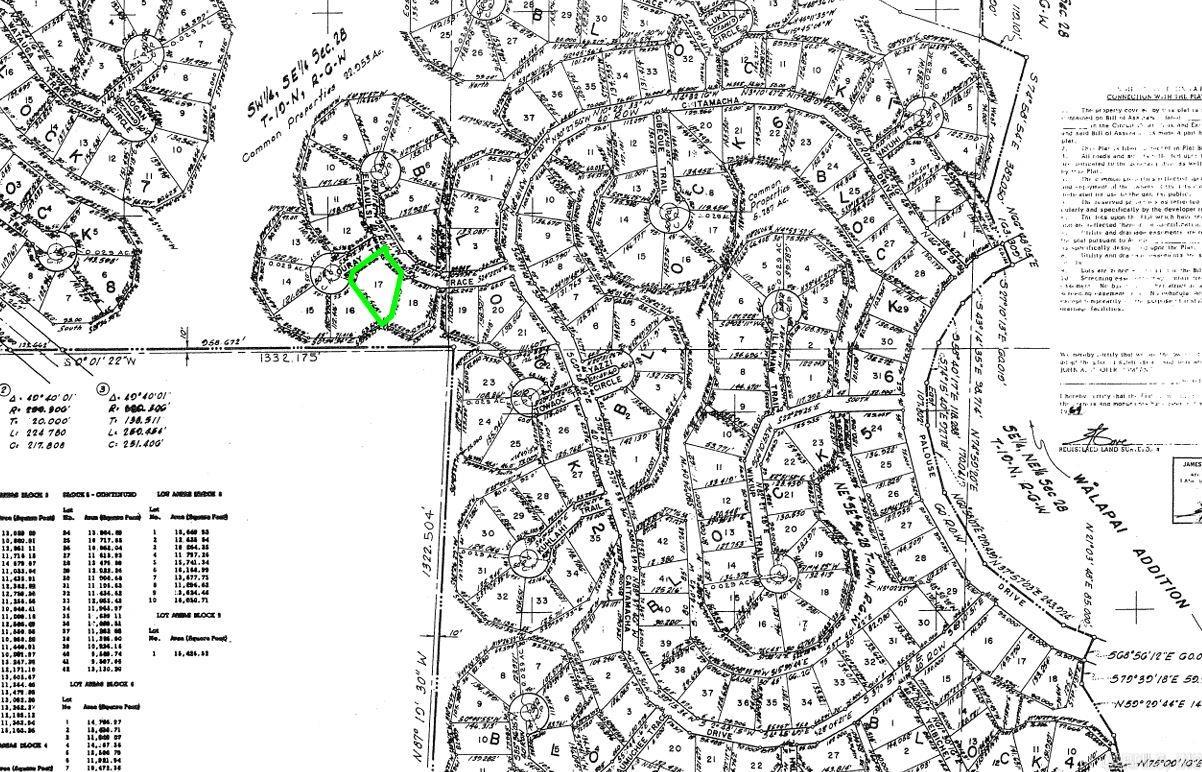 Lot 17 Ouray Trace Property Photo 2