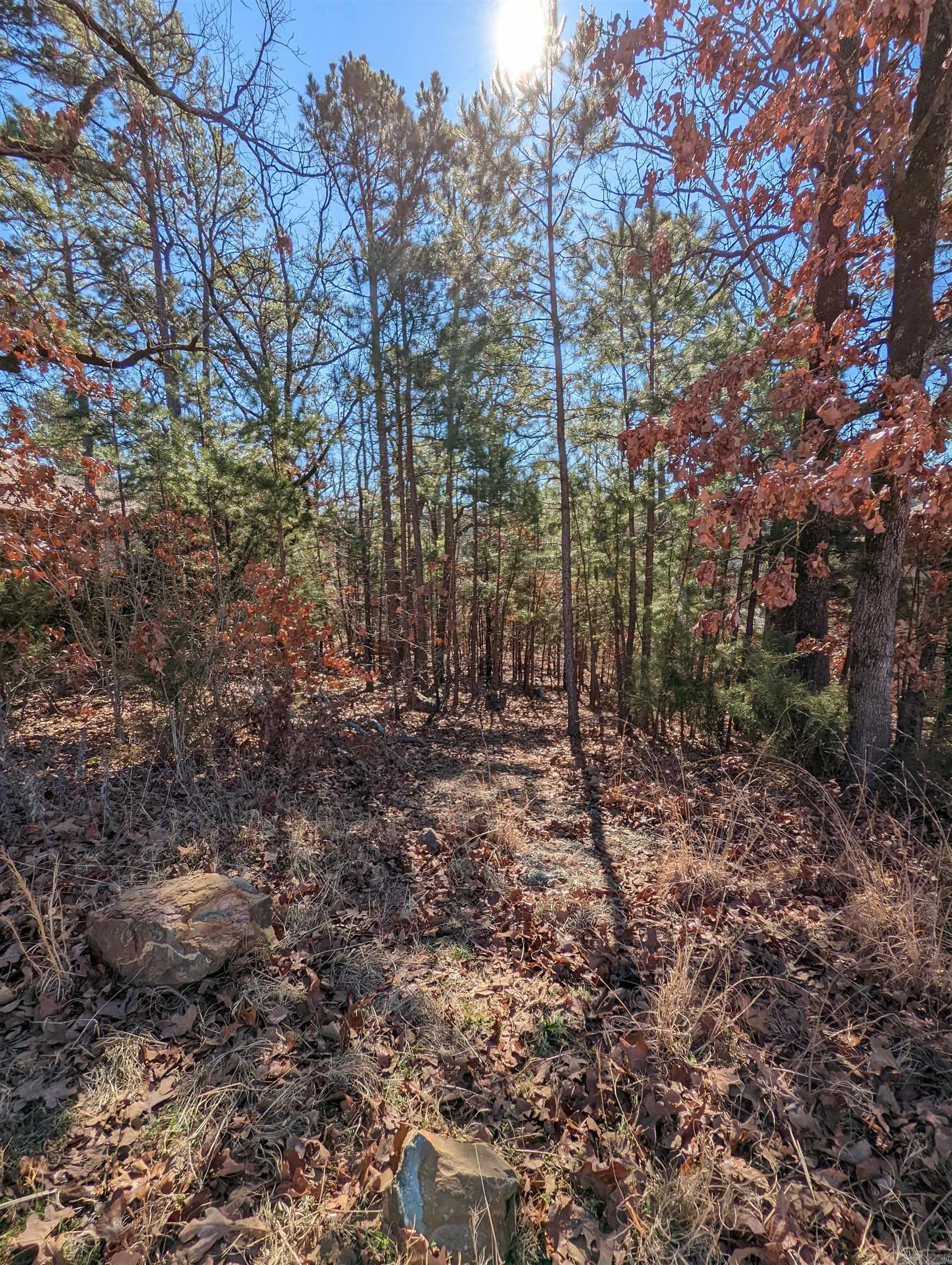 240 Summit Valley Circle Property Photo 3