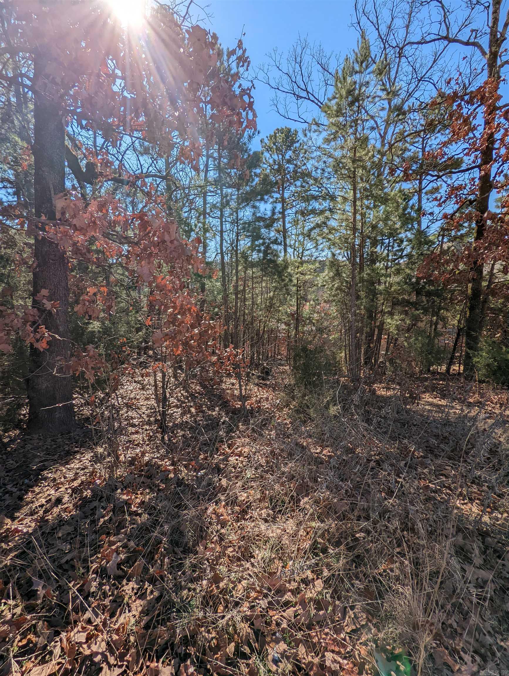240 Summit Valley Circle Property Photo 4