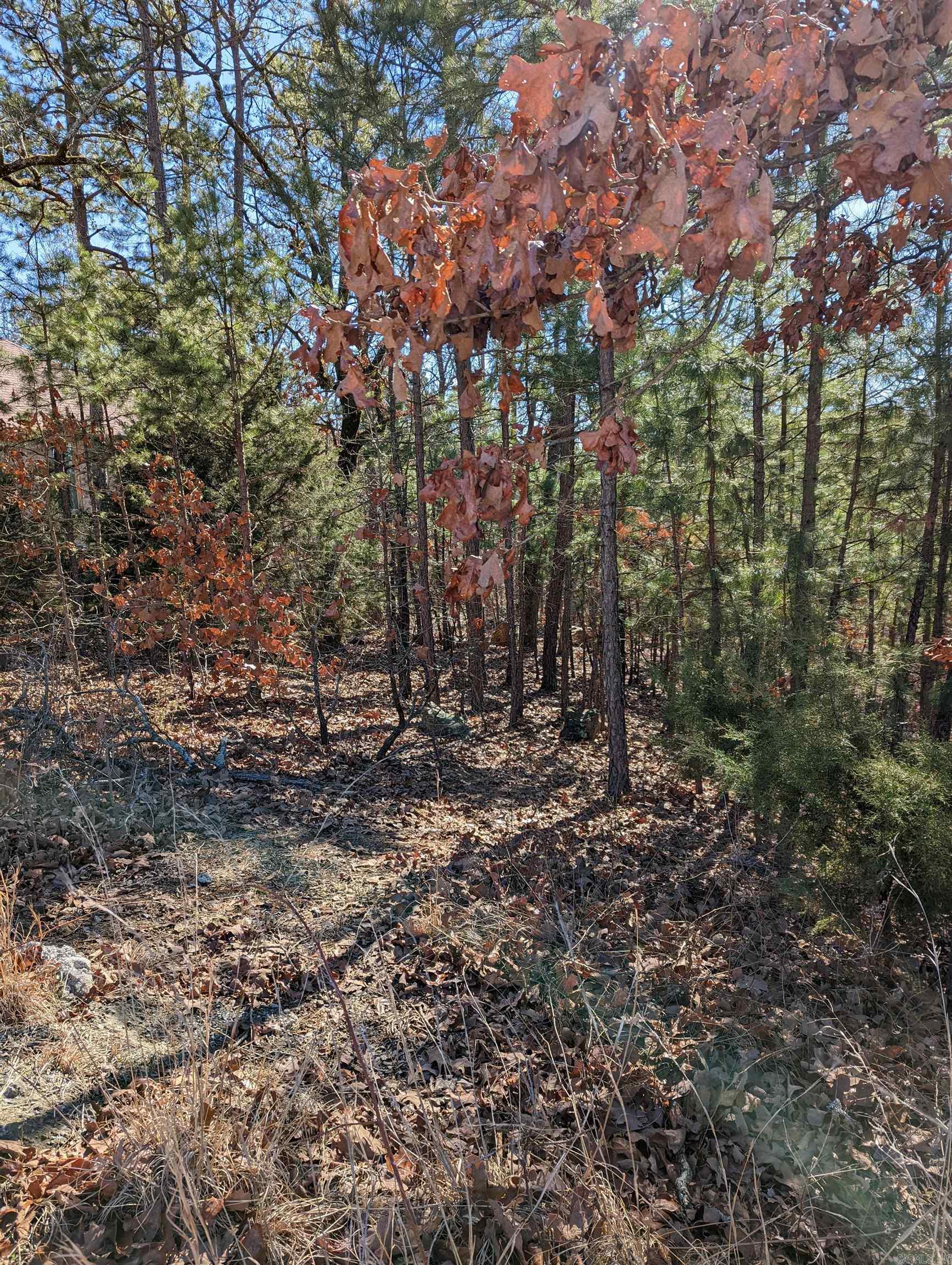 240 Summit Valley Circle Property Photo 5