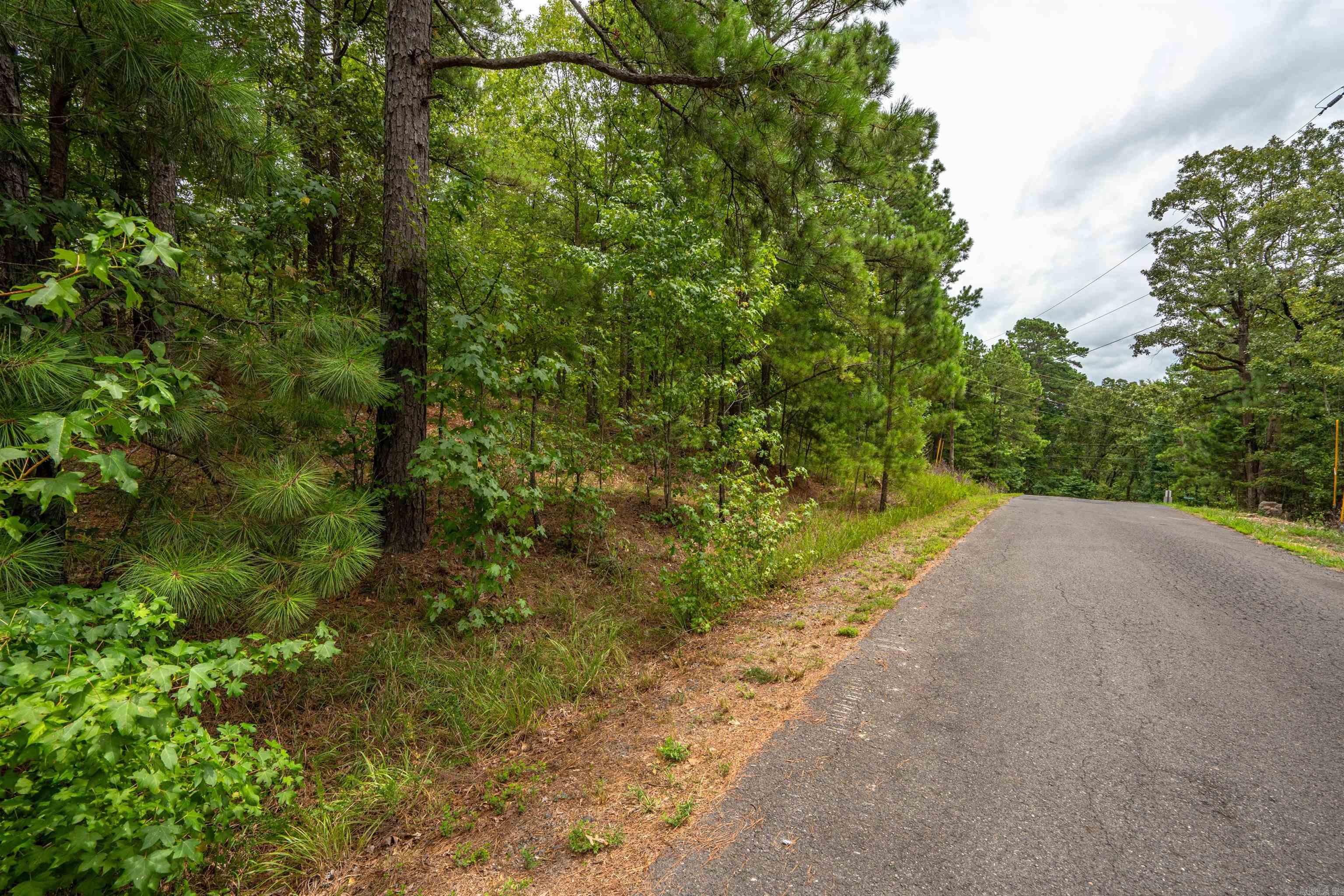 Lot 2 Eagles Nest Lane Property Photo 10