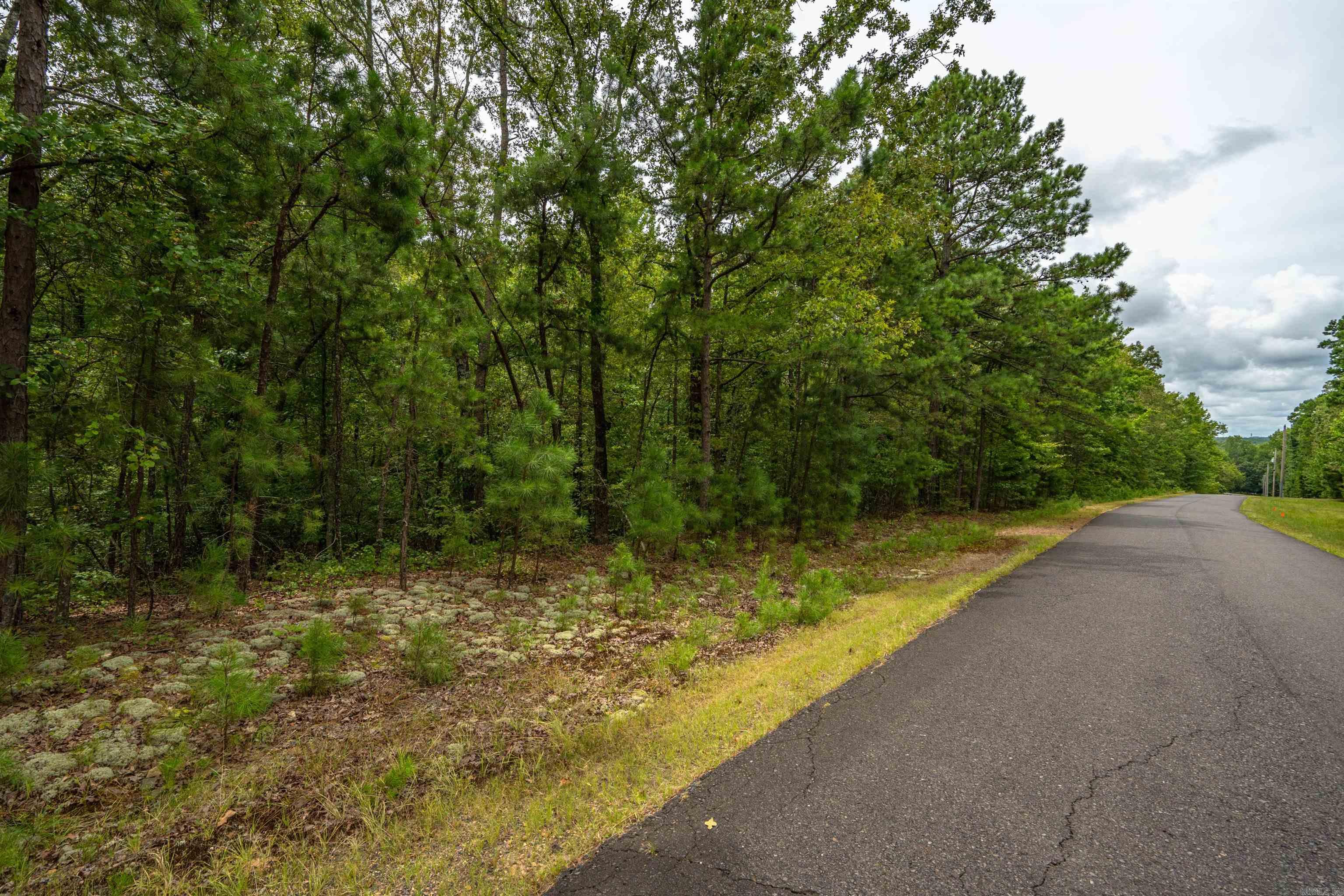 Lot 3 Eagles Nest Lane Property Photo 7