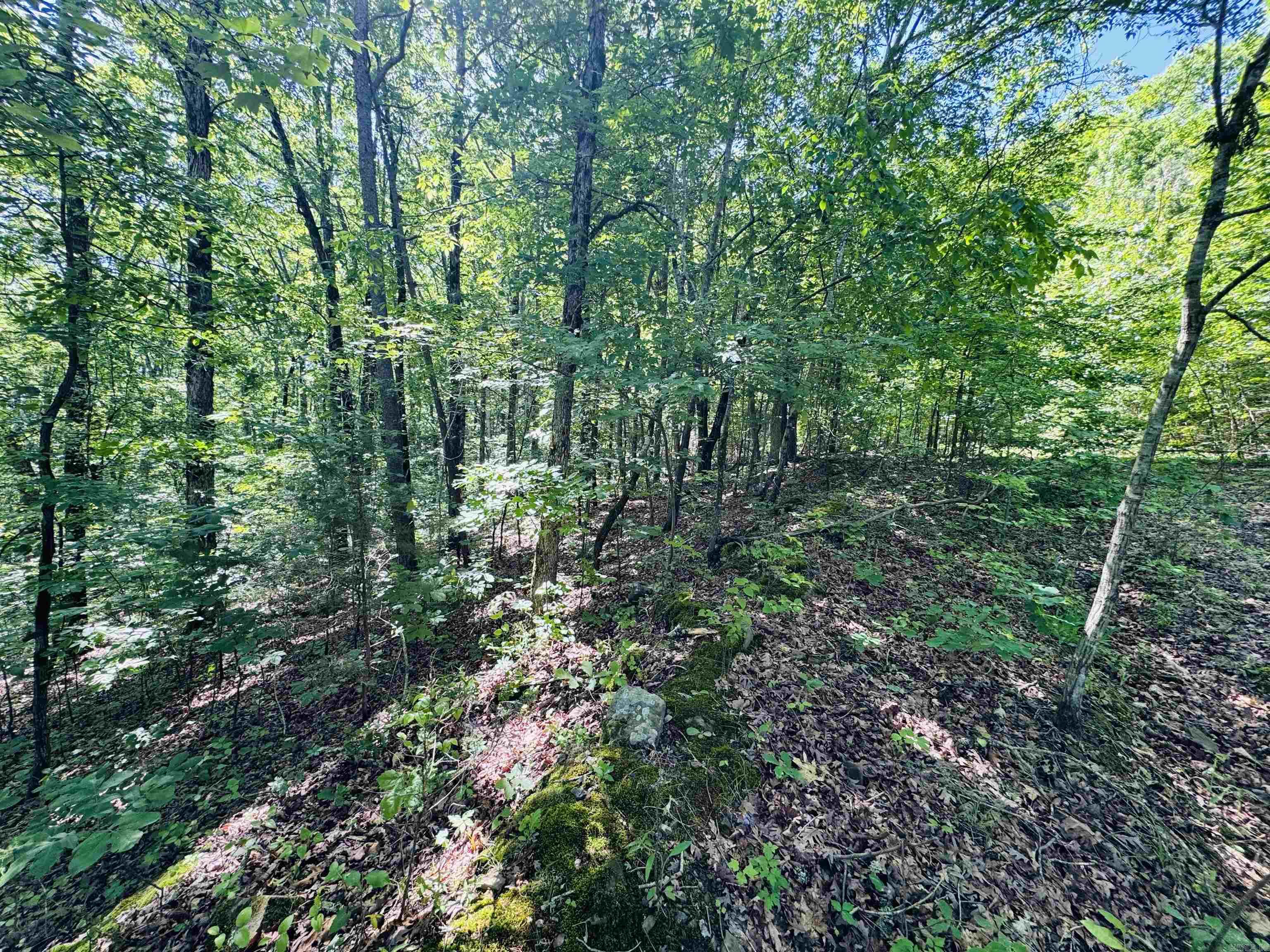 Lot 24 Cox Drive Property Photo 5