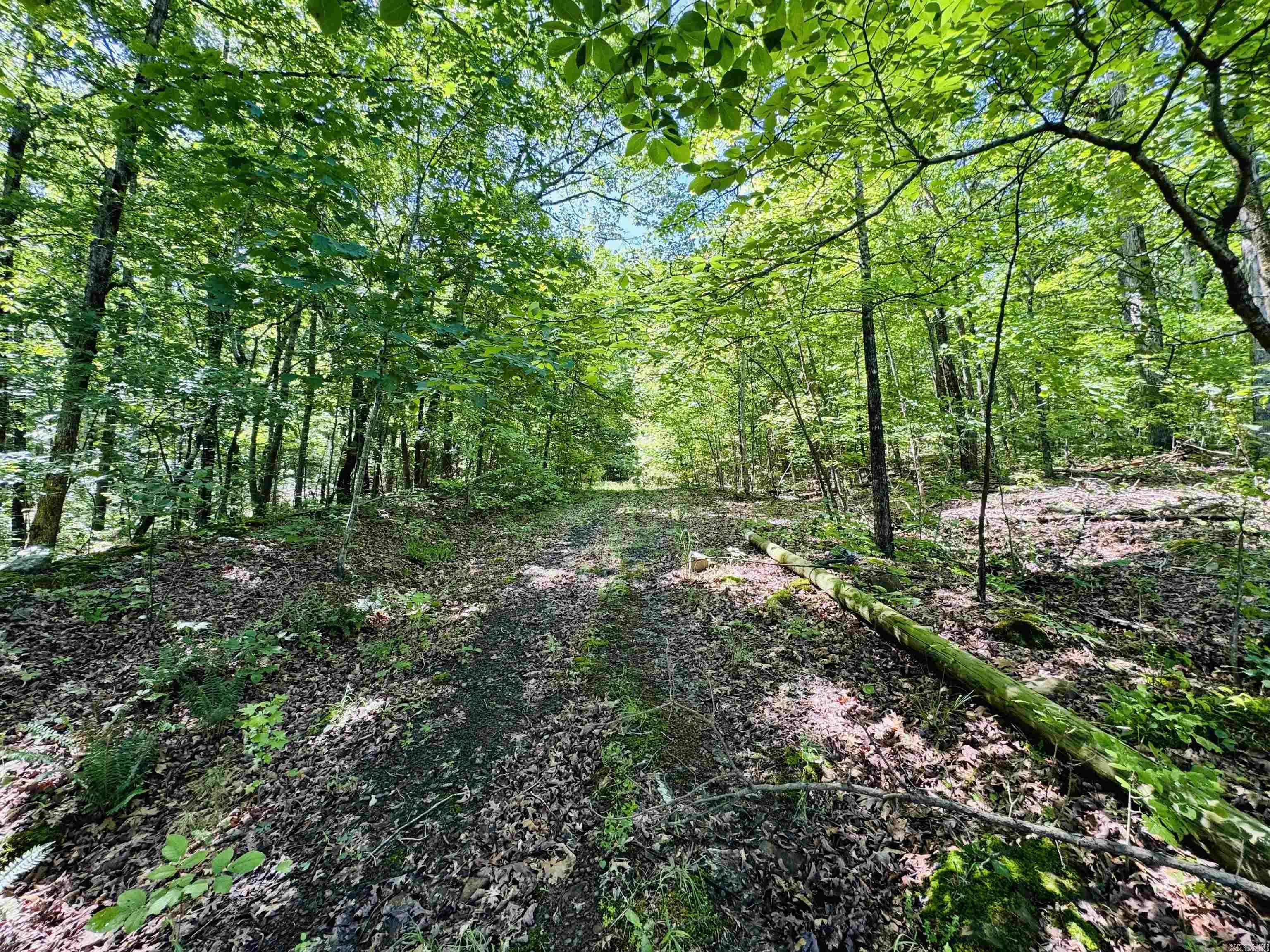 Lot 24 Cox Drive Property Photo 6