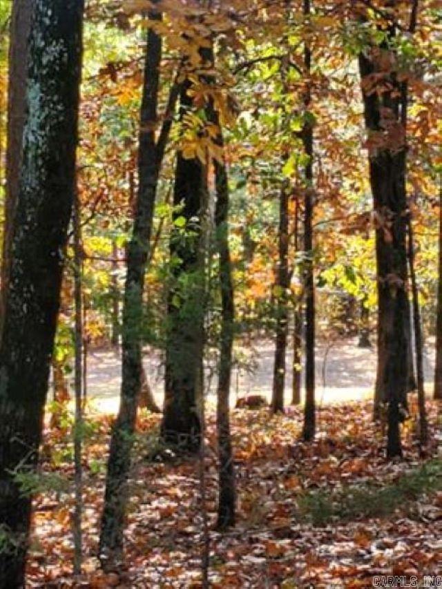 Castle Ridge Heights Real Estate Listings Main Image