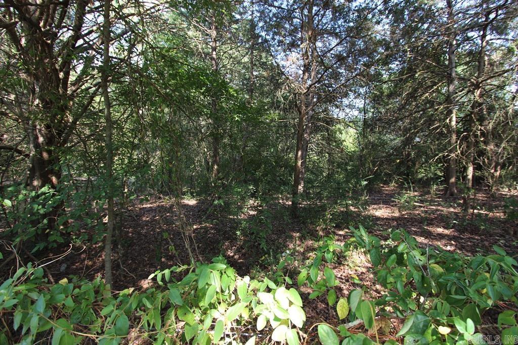 10 Fox Hill Road Property Photo 3