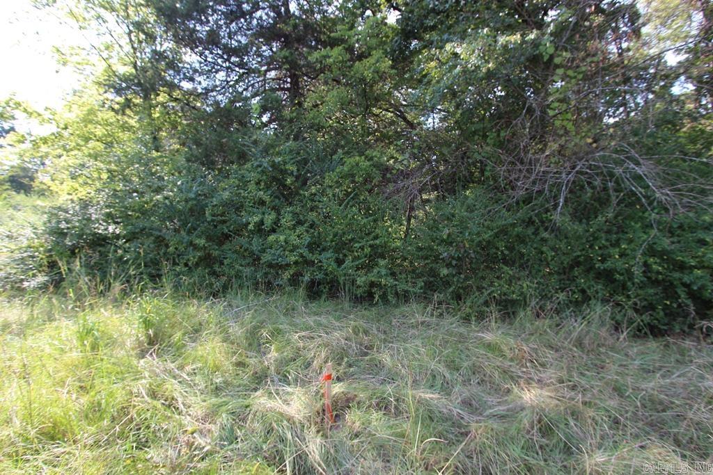 10 Fox Hill Road Property Photo 6