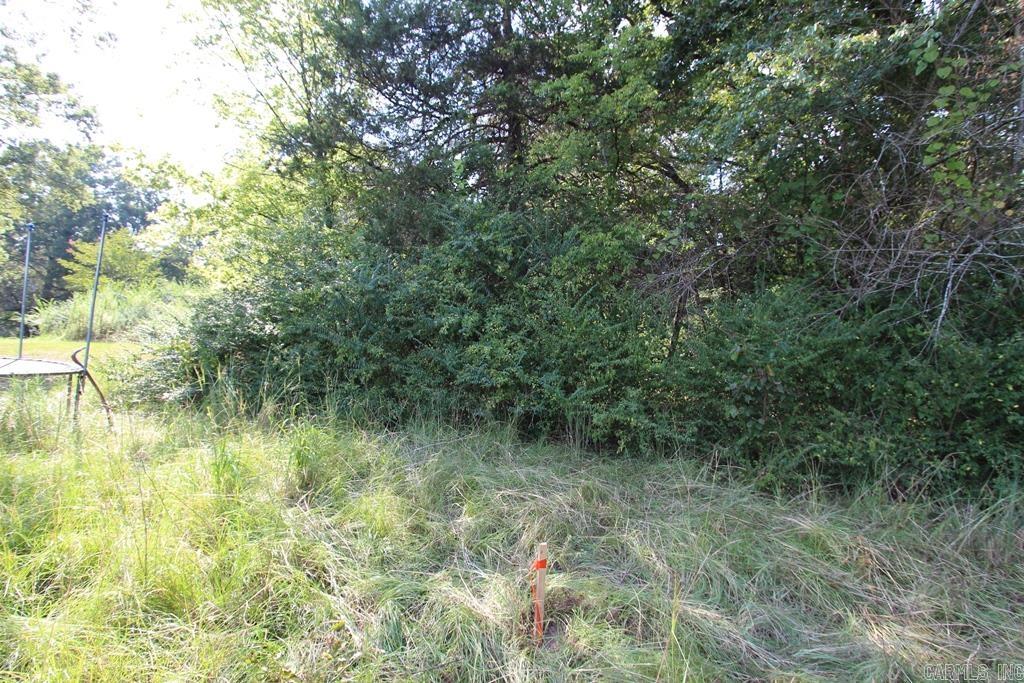 10 Fox Hill Road Property Photo 7