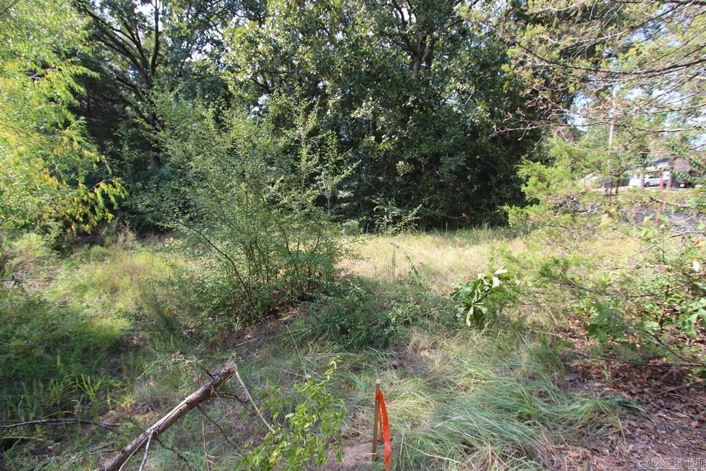 11 Bell Circle Property Photo 7