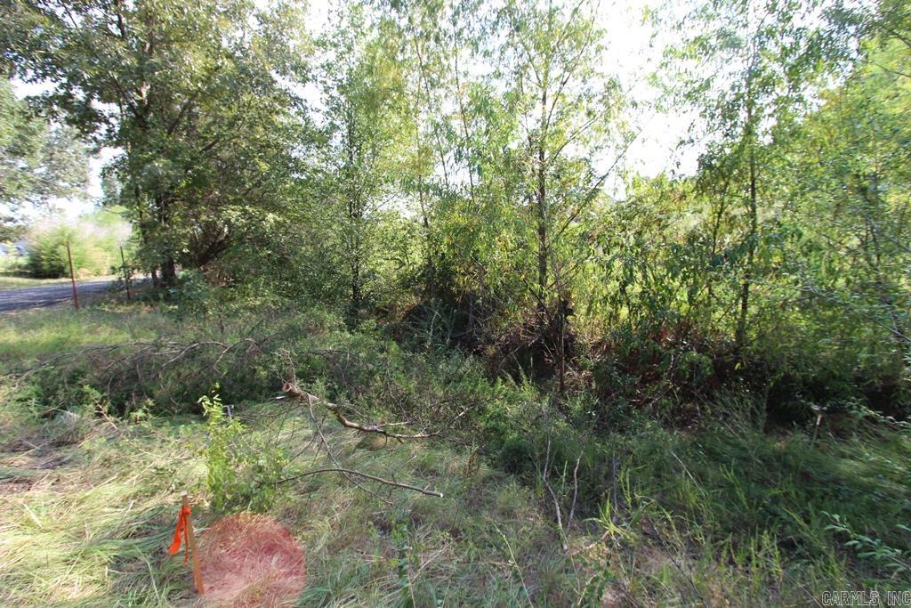 11 Bell Circle Property Photo 8