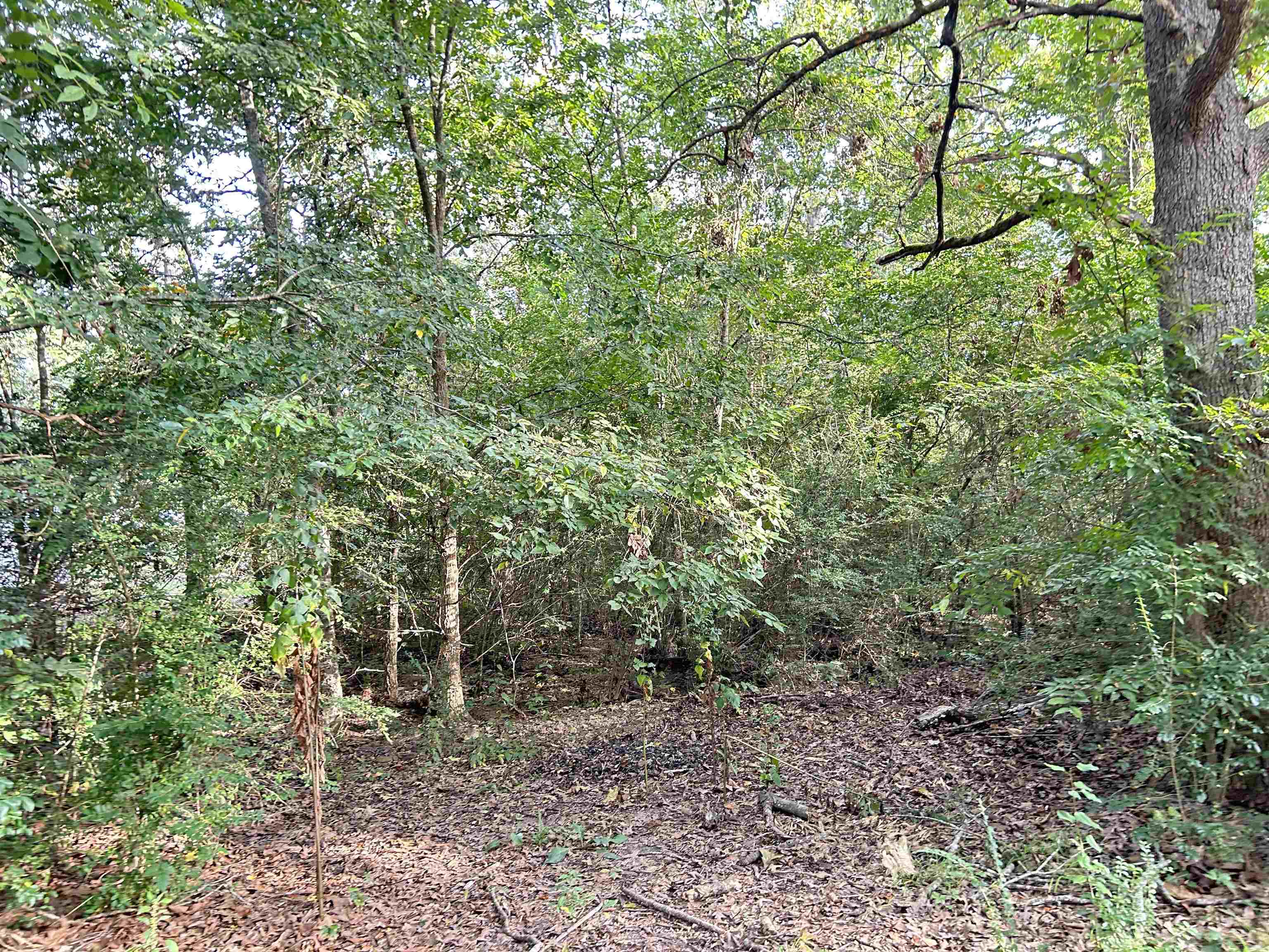 Lot 35 N Circle Drive Property Photo 3