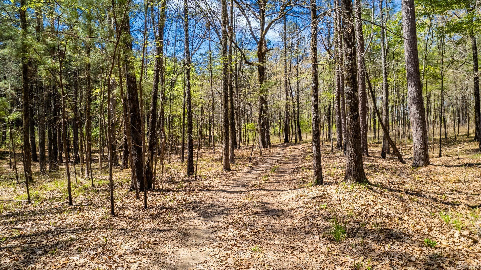 Highway 278 Property Photo 1