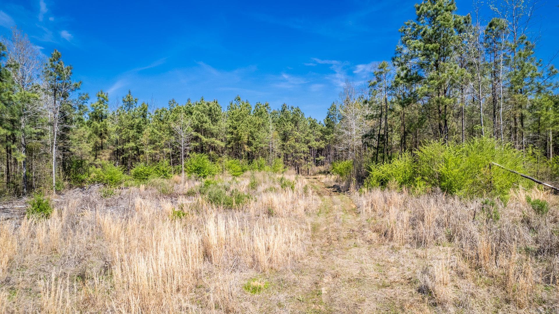 Highway 278 Property Photo 2