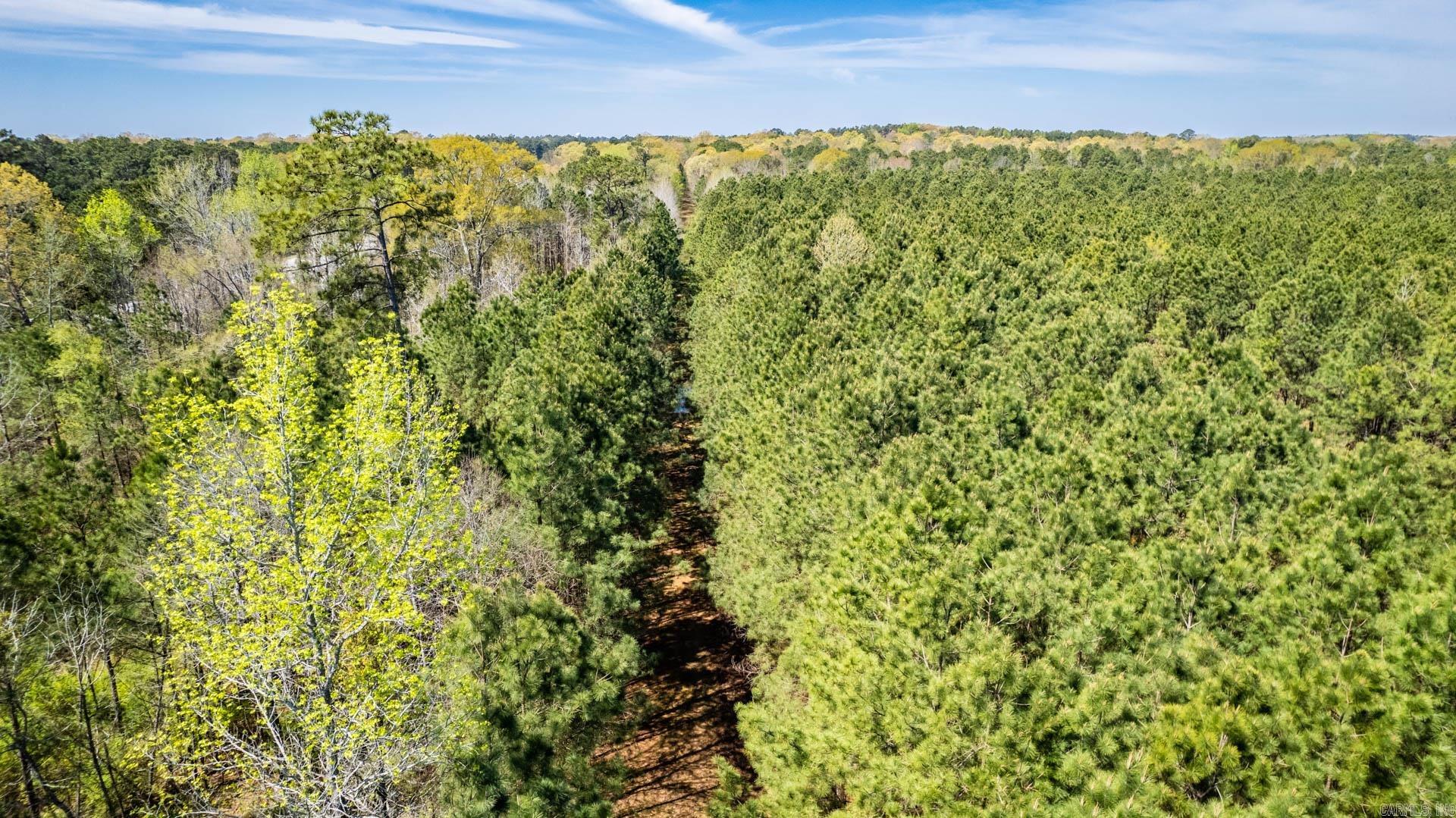 Highway 278 Property Photo 7
