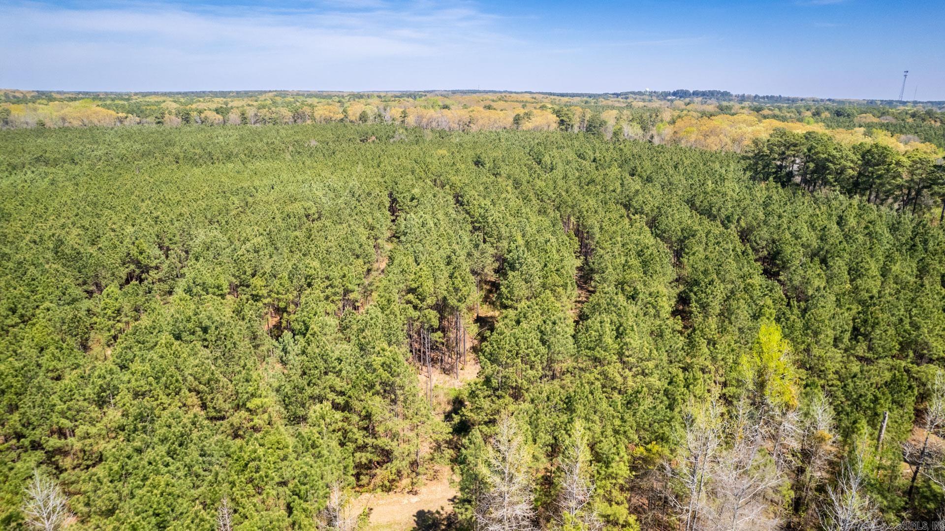 Highway 278 Property Photo 19