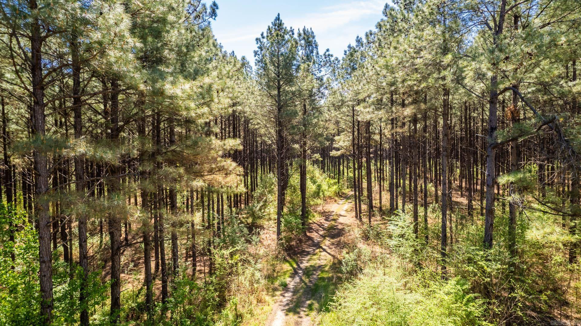 Highway 278 Property Photo 33