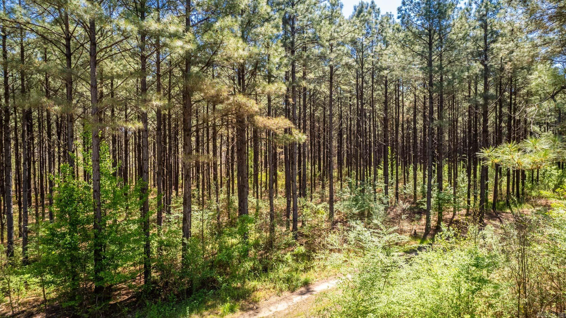 Highway 278 Property Photo 34
